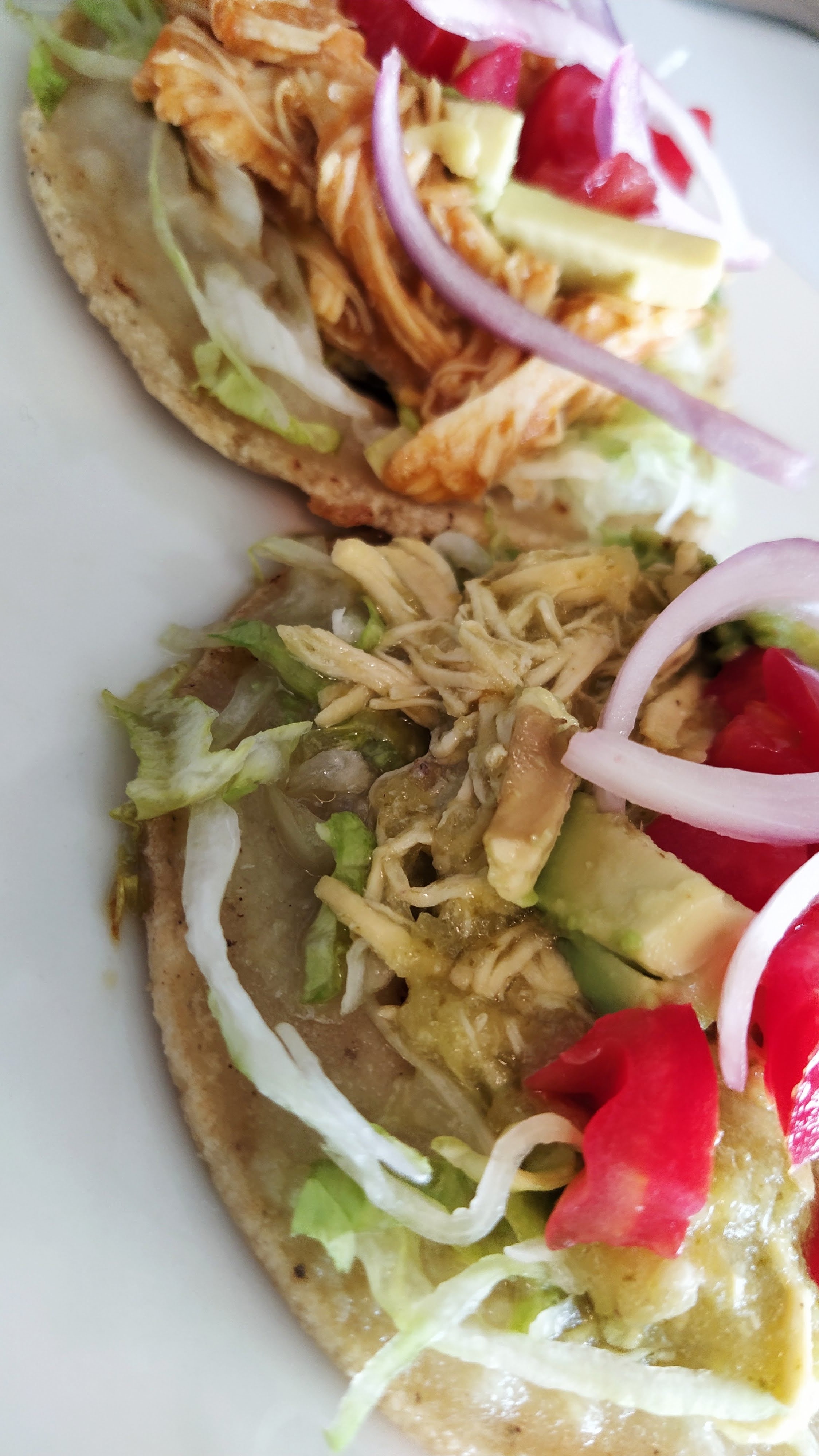 Tierra Delicia image 9