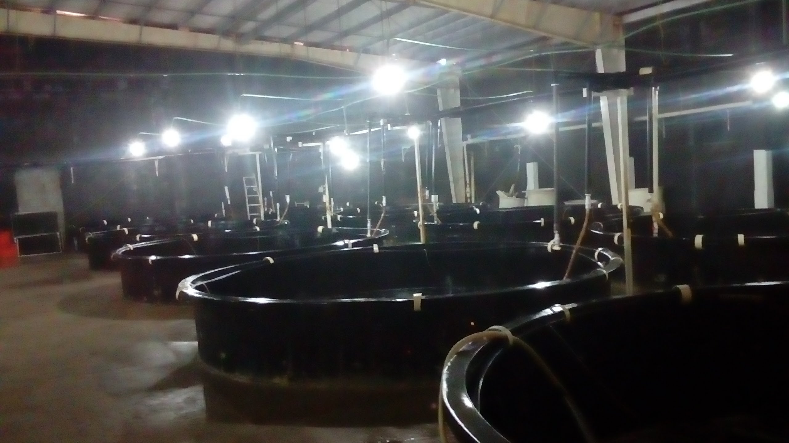 Tienda De Venta De Teleras Anbur image 2