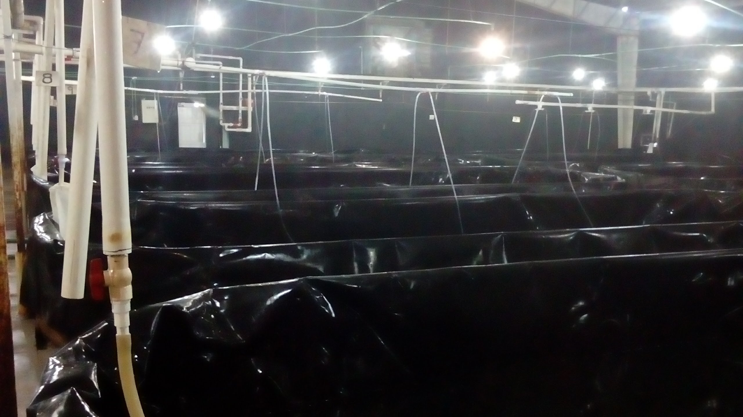 Tienda De Venta De Teleras Anbur image 6