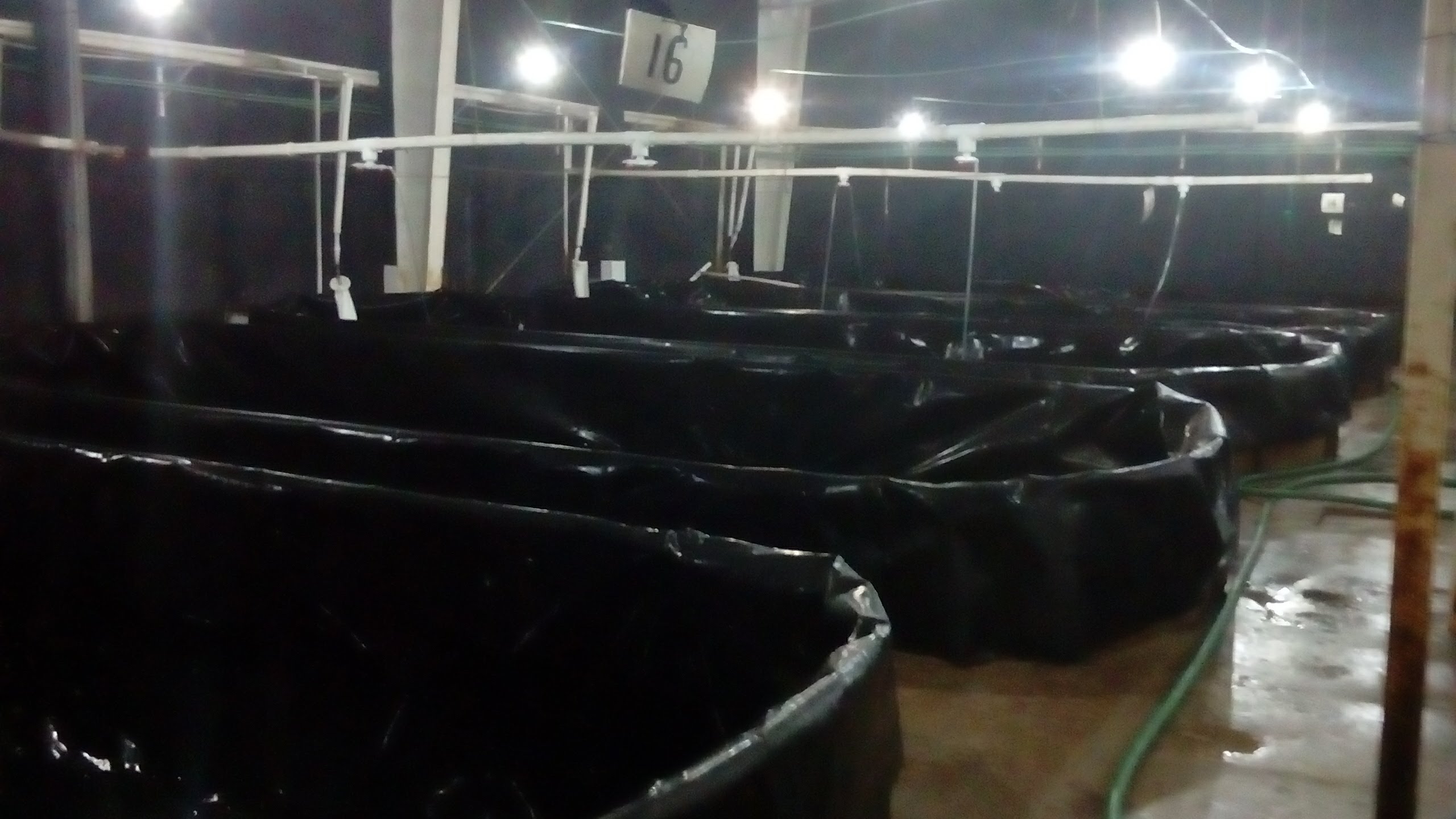 Tienda De Venta De Teleras Anbur image 9