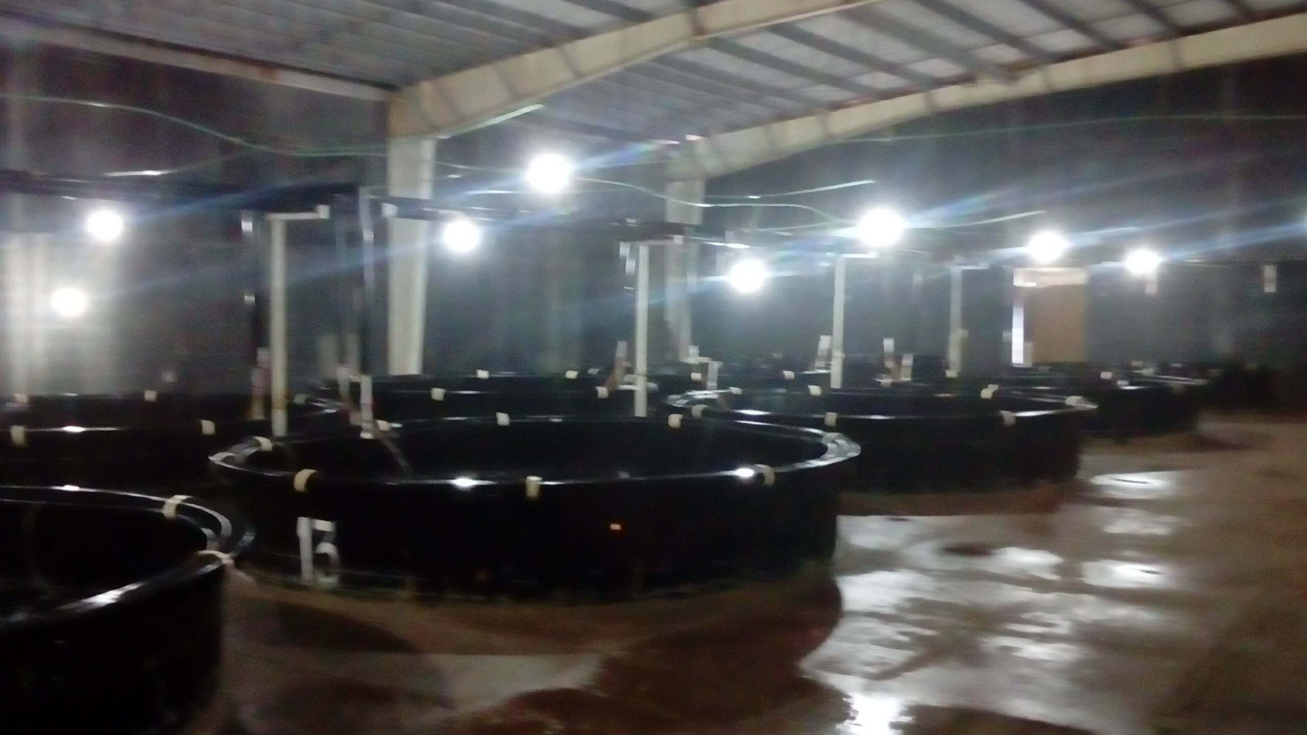 Tienda De Venta De Teleras Anbur image 10