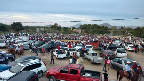 MARISCOS EL CHOMBI image 6