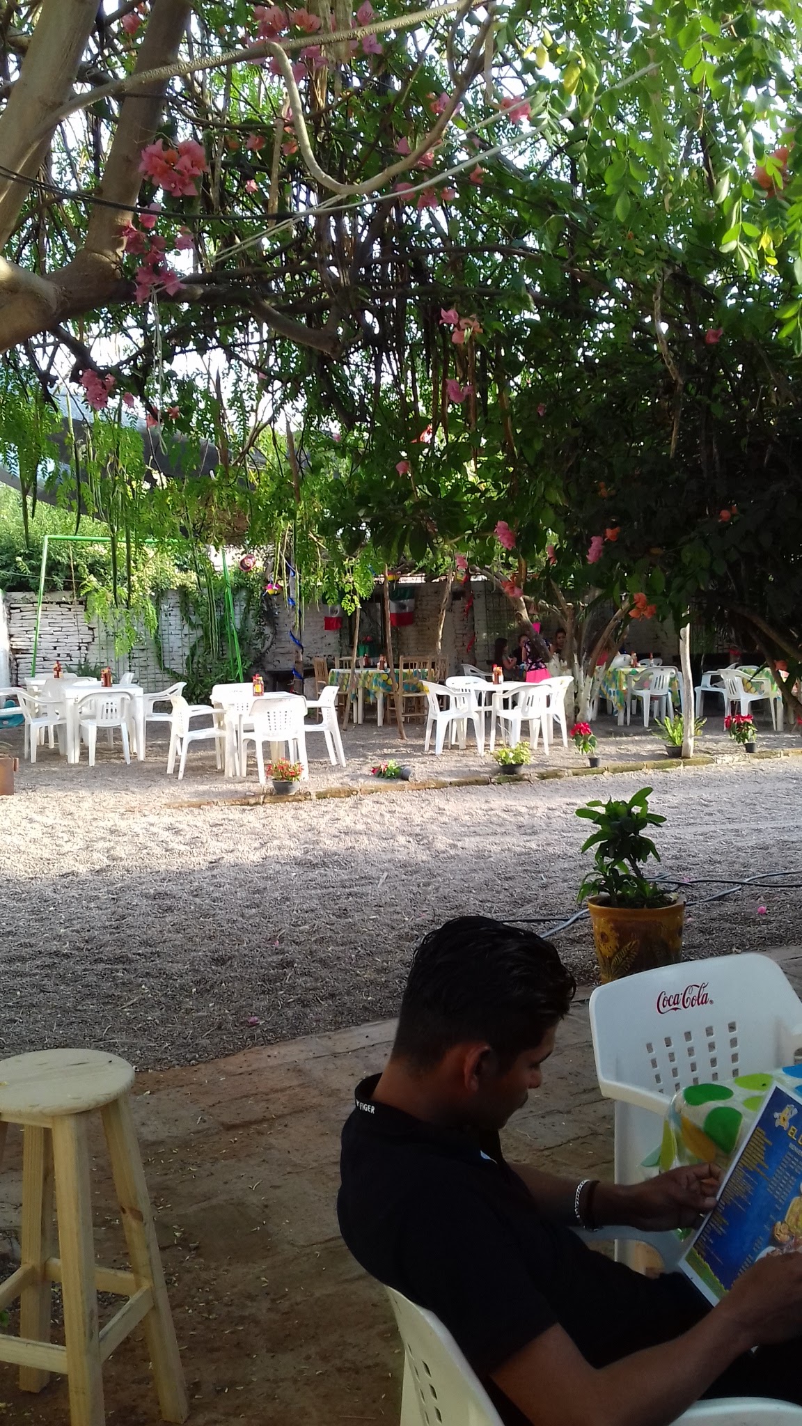 Mariscos el Limoncito image 8