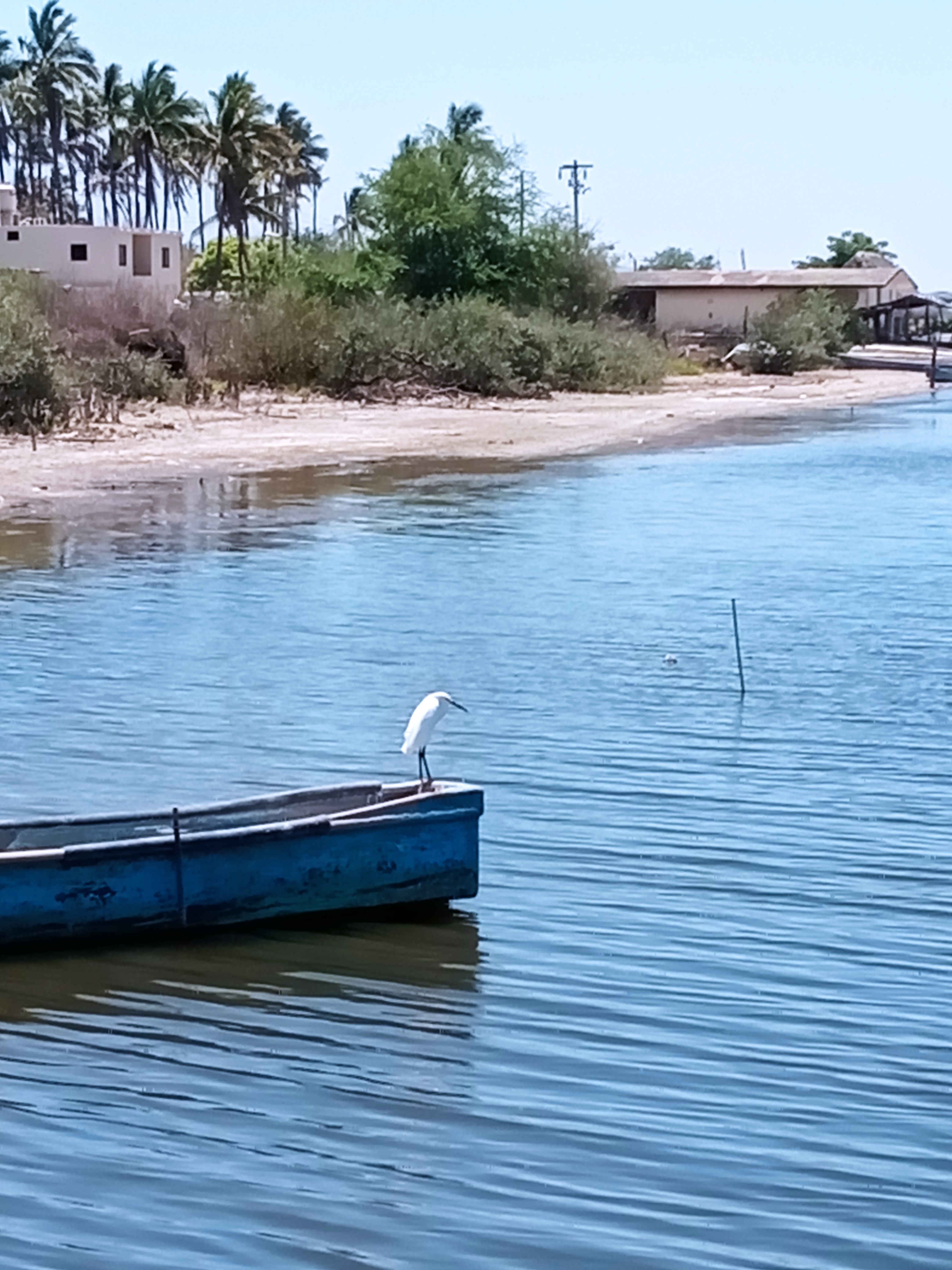 El Sacrificio image 2