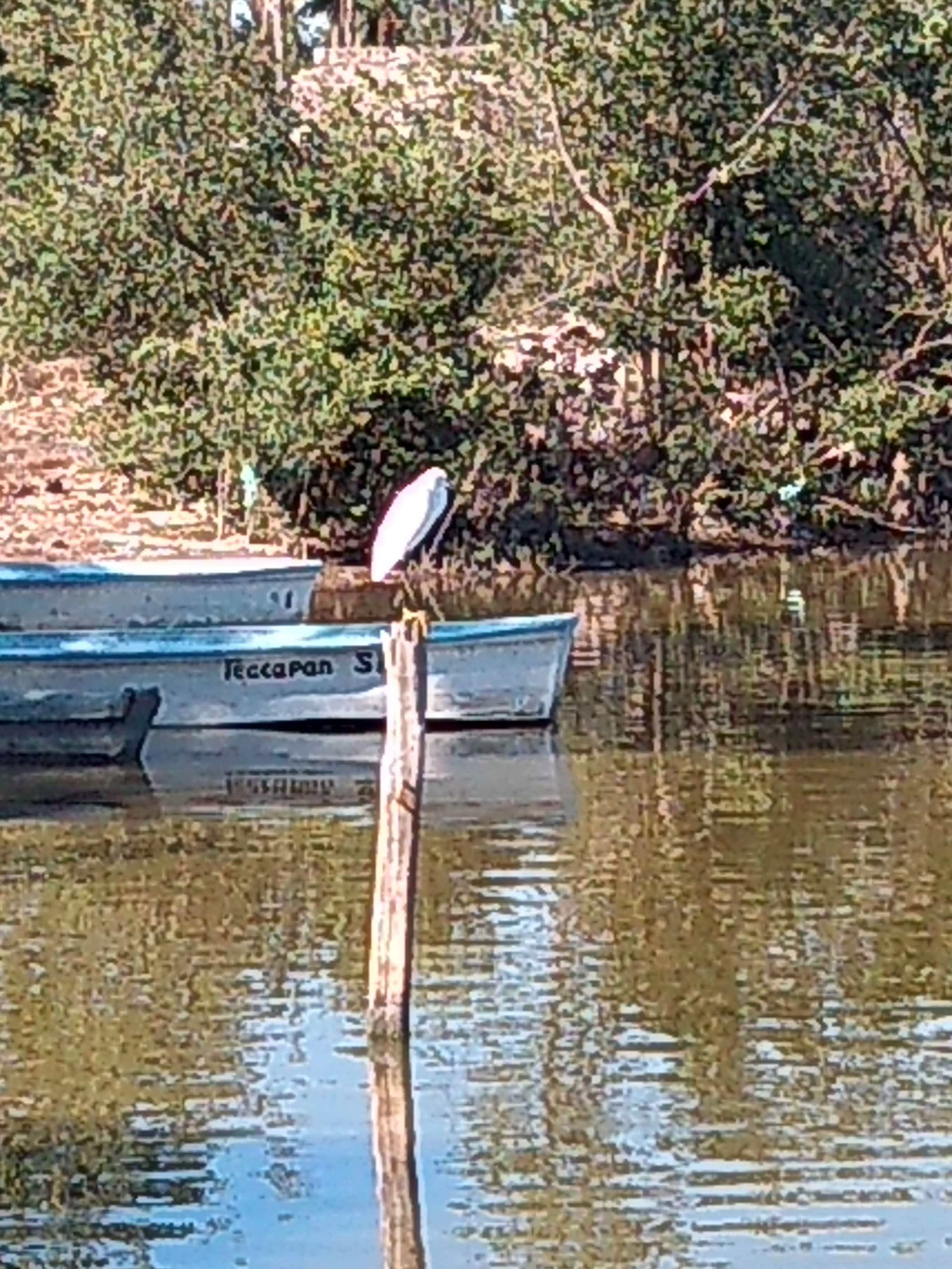 El Sacrificio image 8