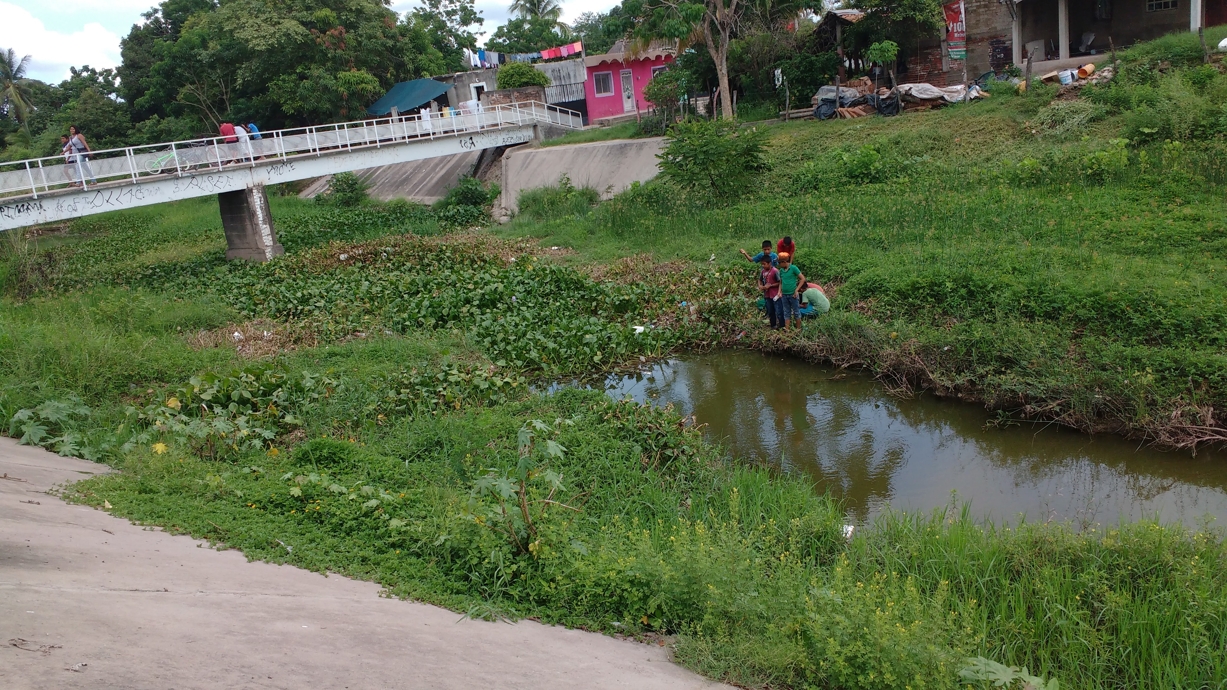 Carnes Asadas La Ceiba image 3
