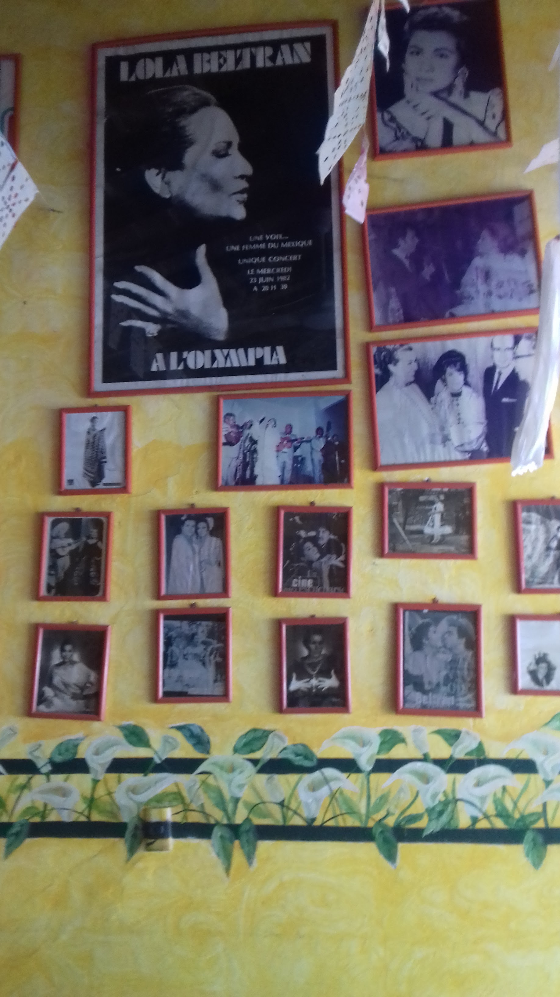 Tiro San Antonio image 5