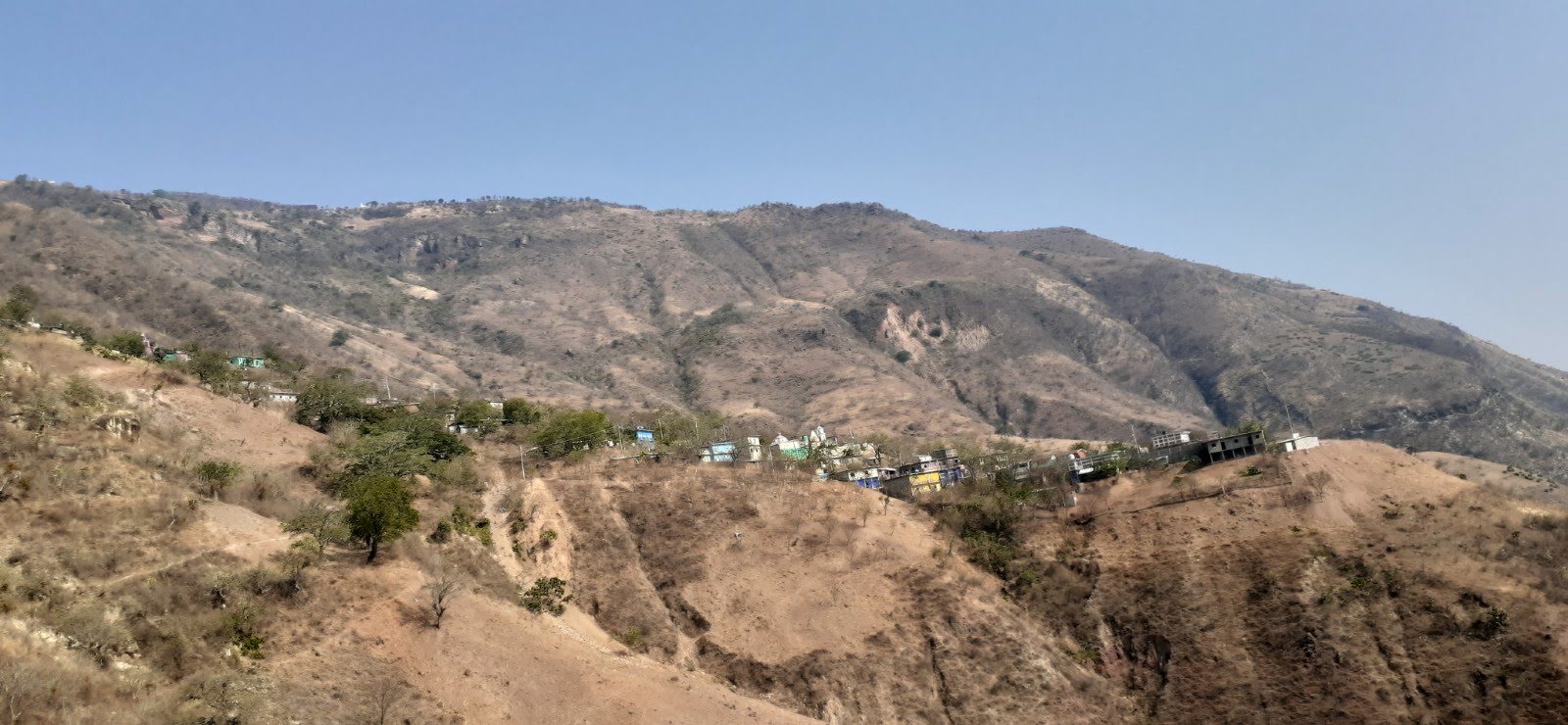 EL TORONJITO image 1