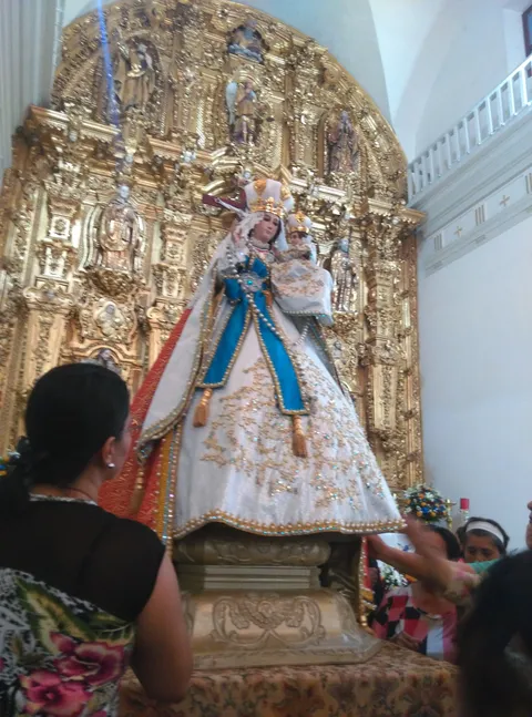 EL TORONJITO image 3