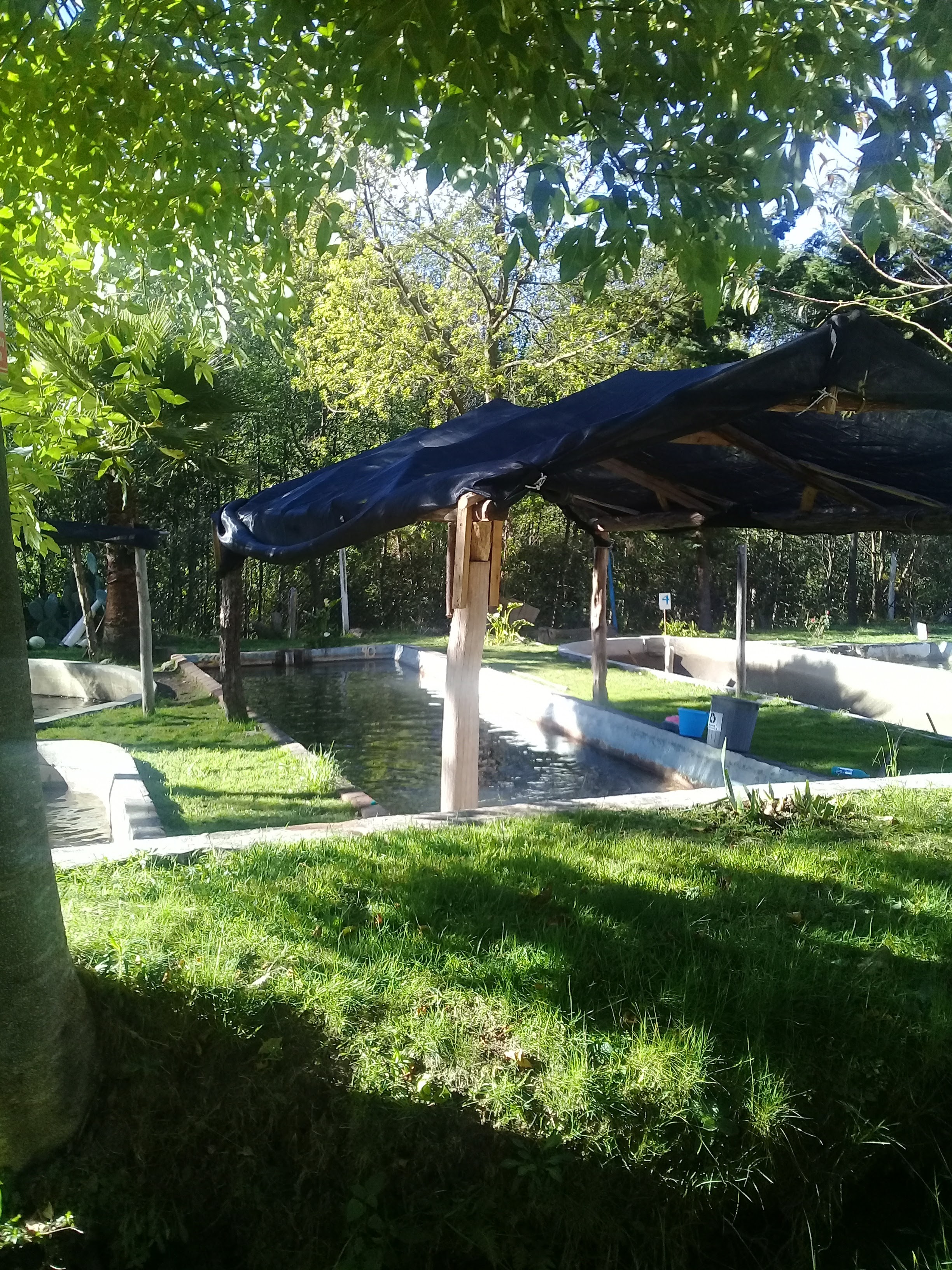 Granja de trucha arcoiris "Los Adobes" image 2