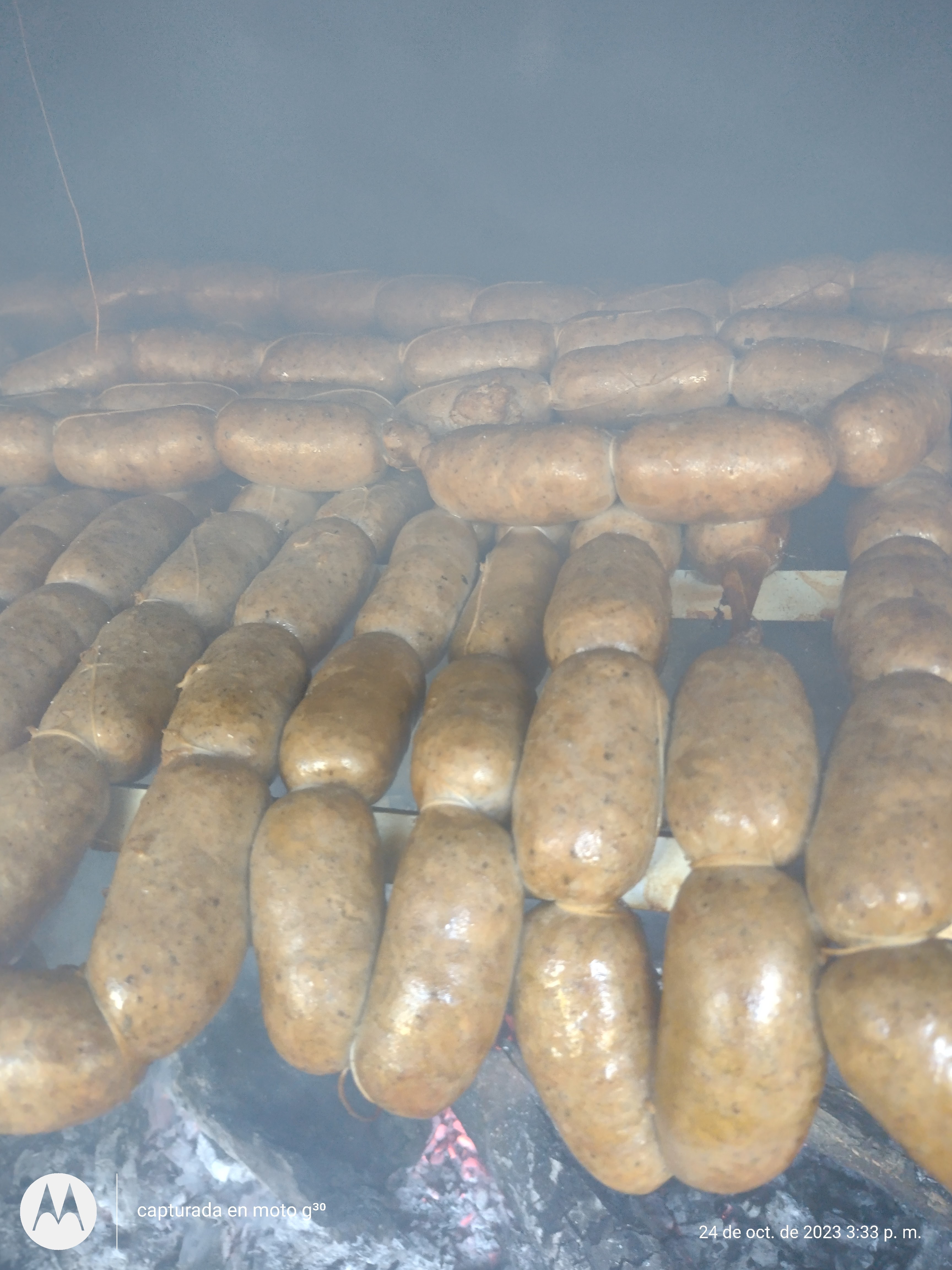 Butifarras la palapa del Biológo image 9