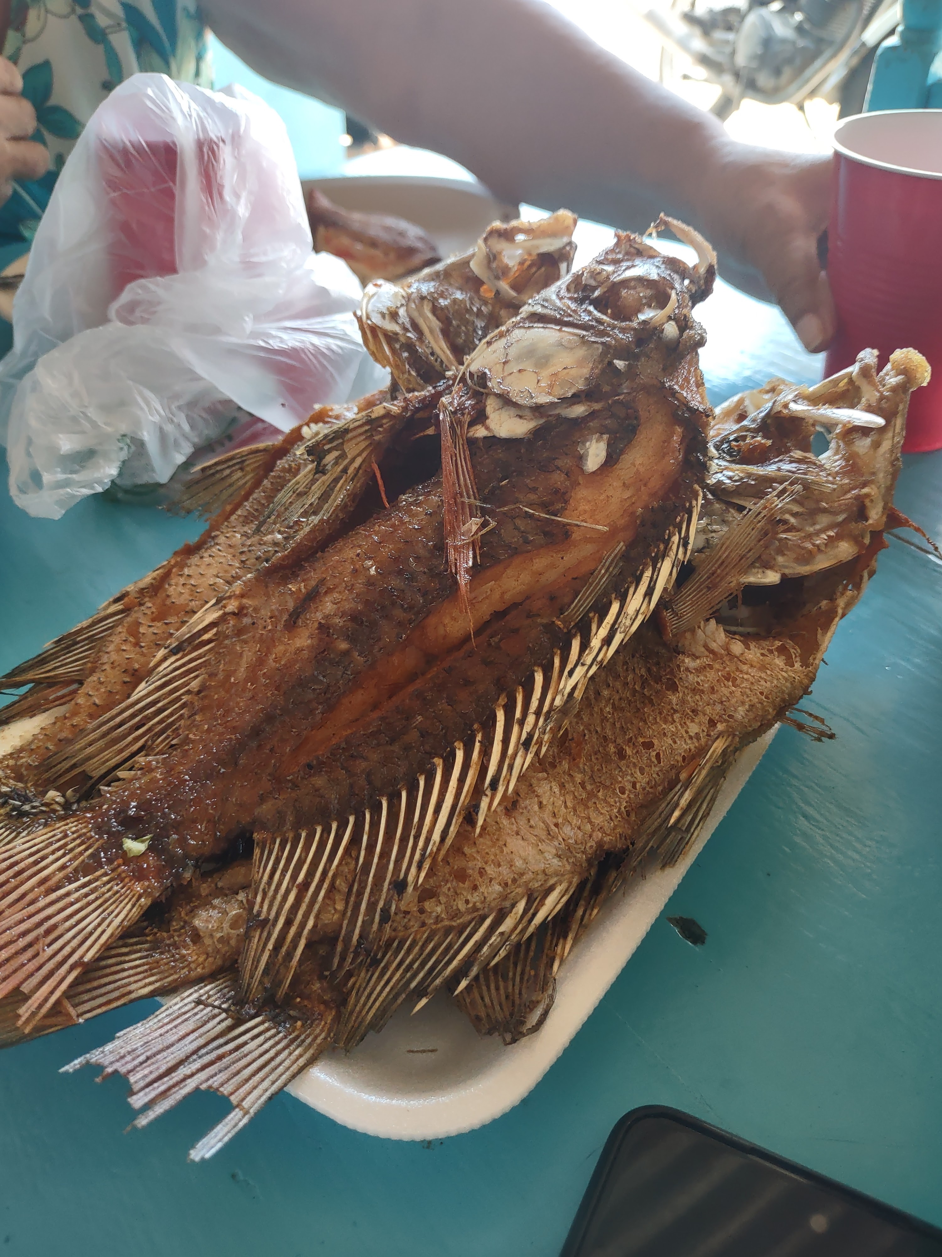 Pescadería “El Gordo” image 10