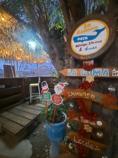La ballena deck image 2