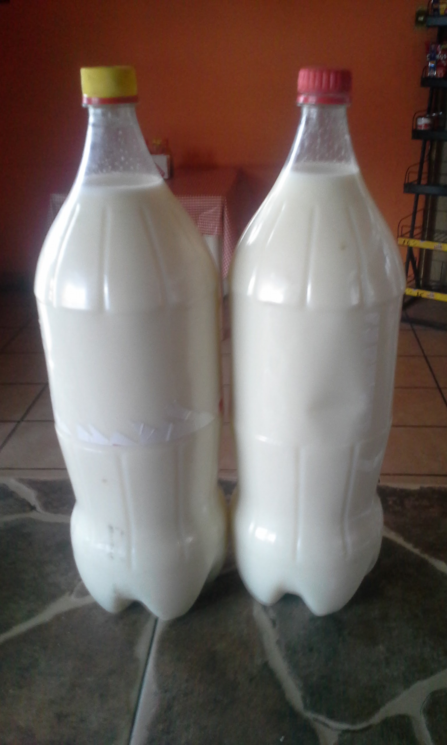 Comedor Isabella image 5