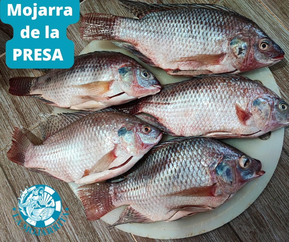 Depósito de Mariscos La Mojarrita La Gomita image 5