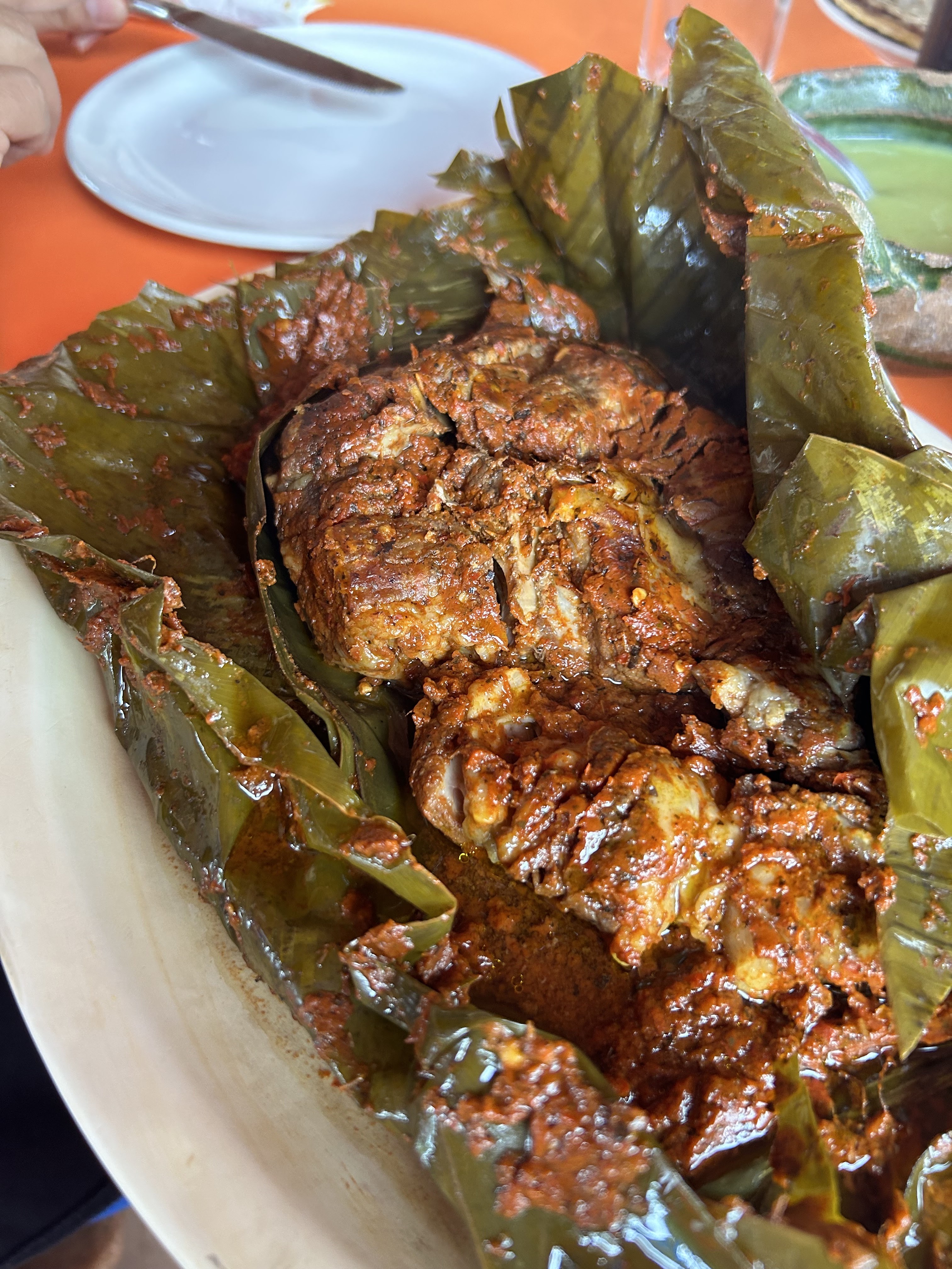 Palapa Familiar " La Choca " image 1