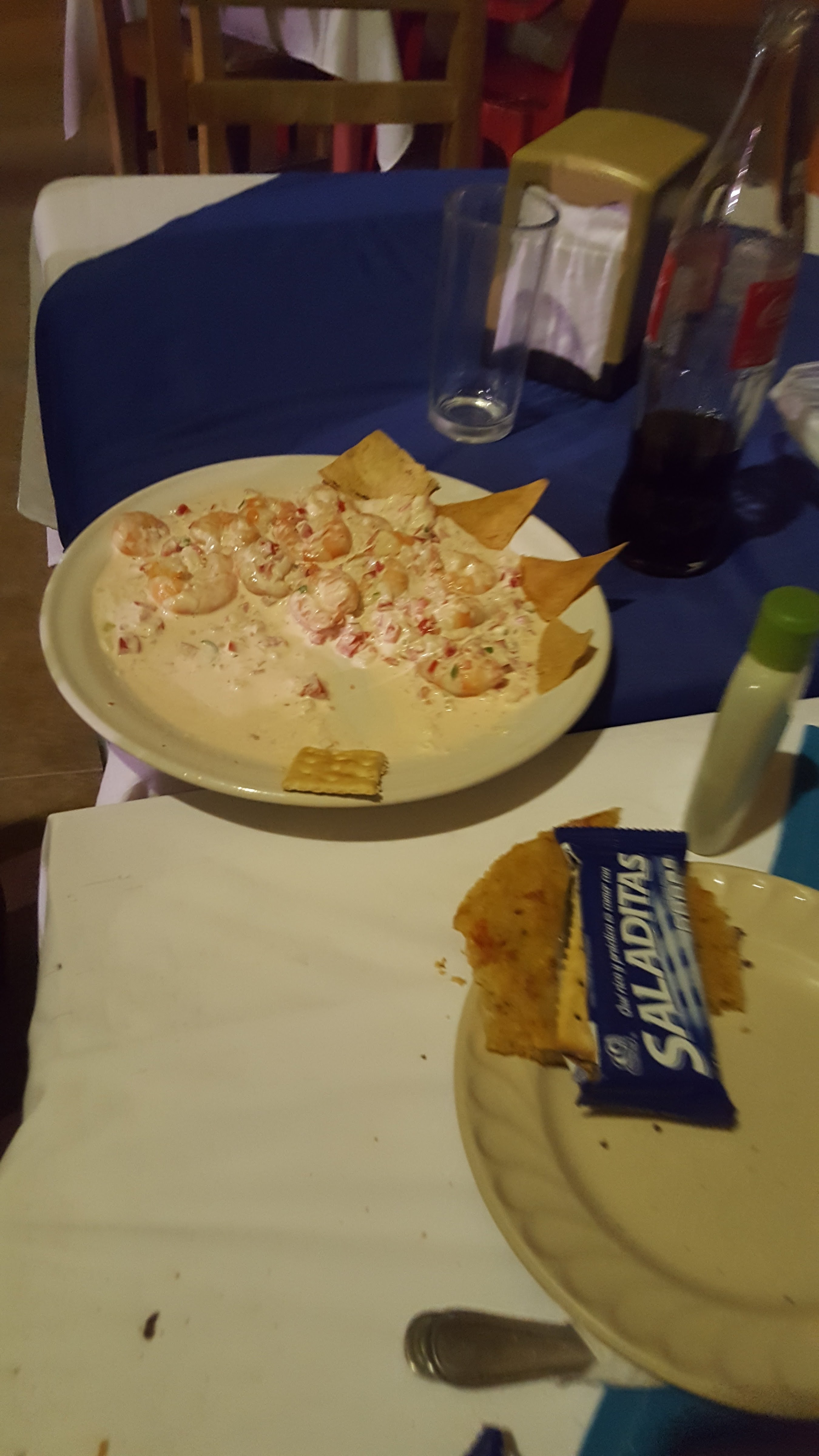 Palapa Familiar " La Choca " image 4