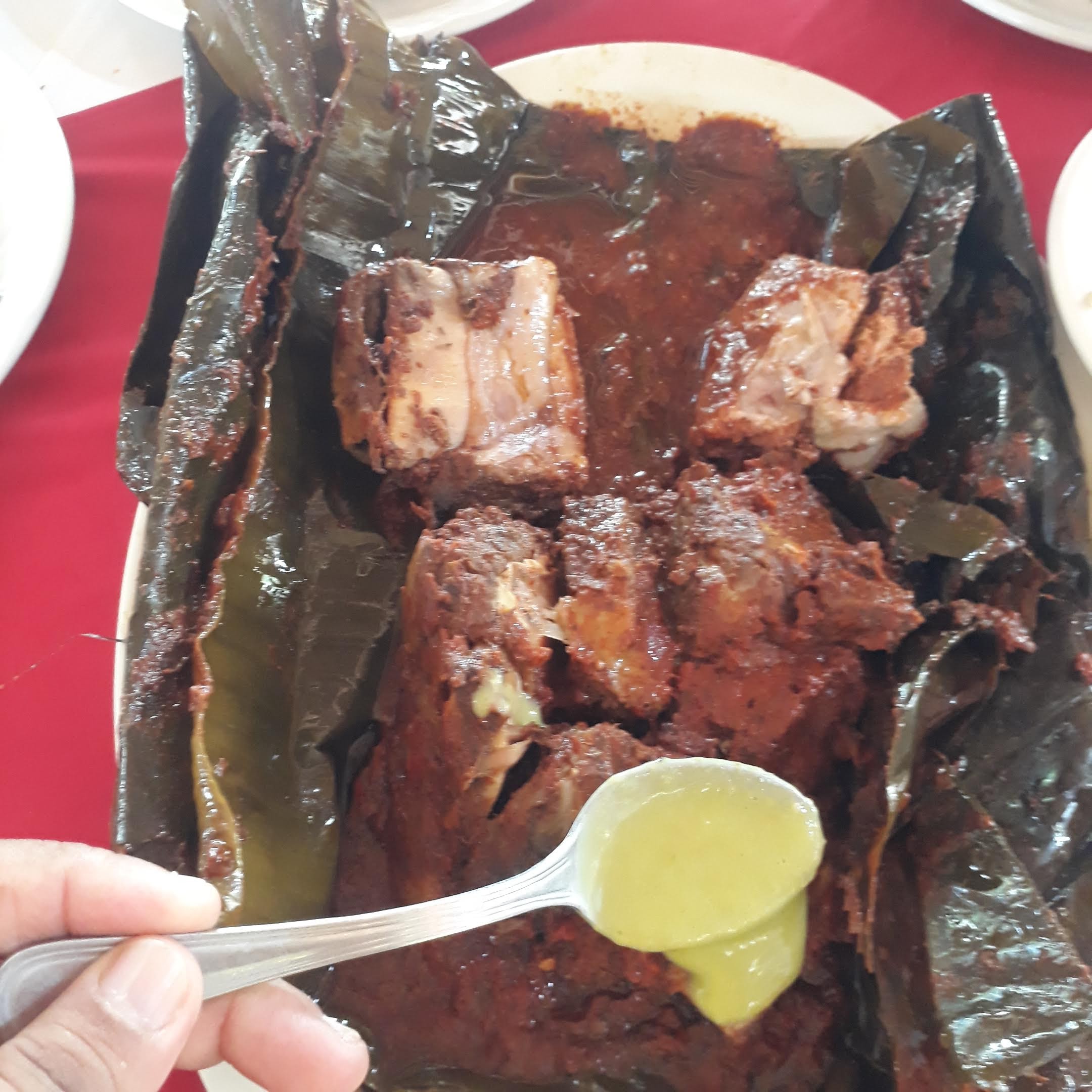 Palapa Familiar " La Choca " image 7