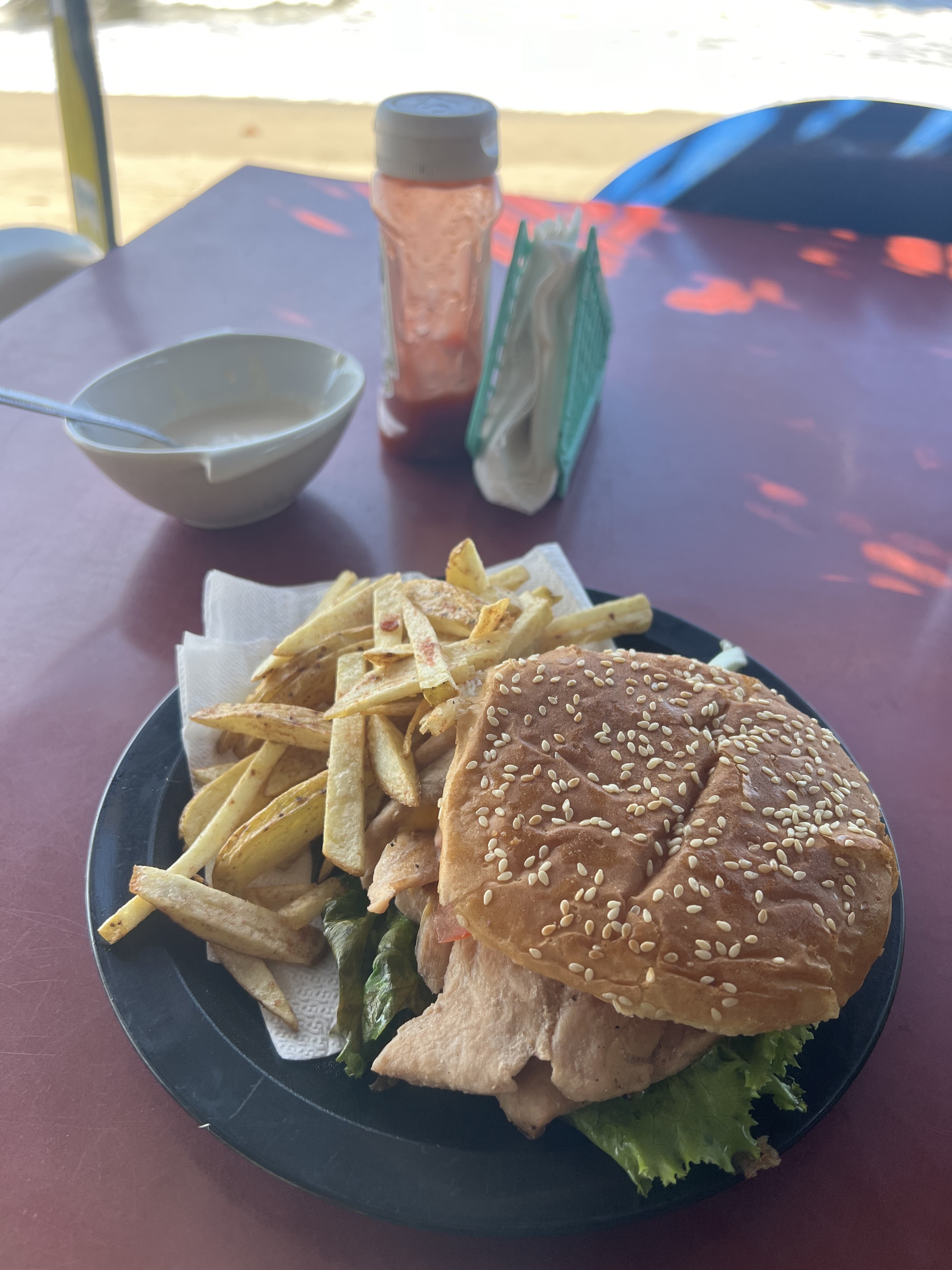 LA TORTUGA FELIZ image 2