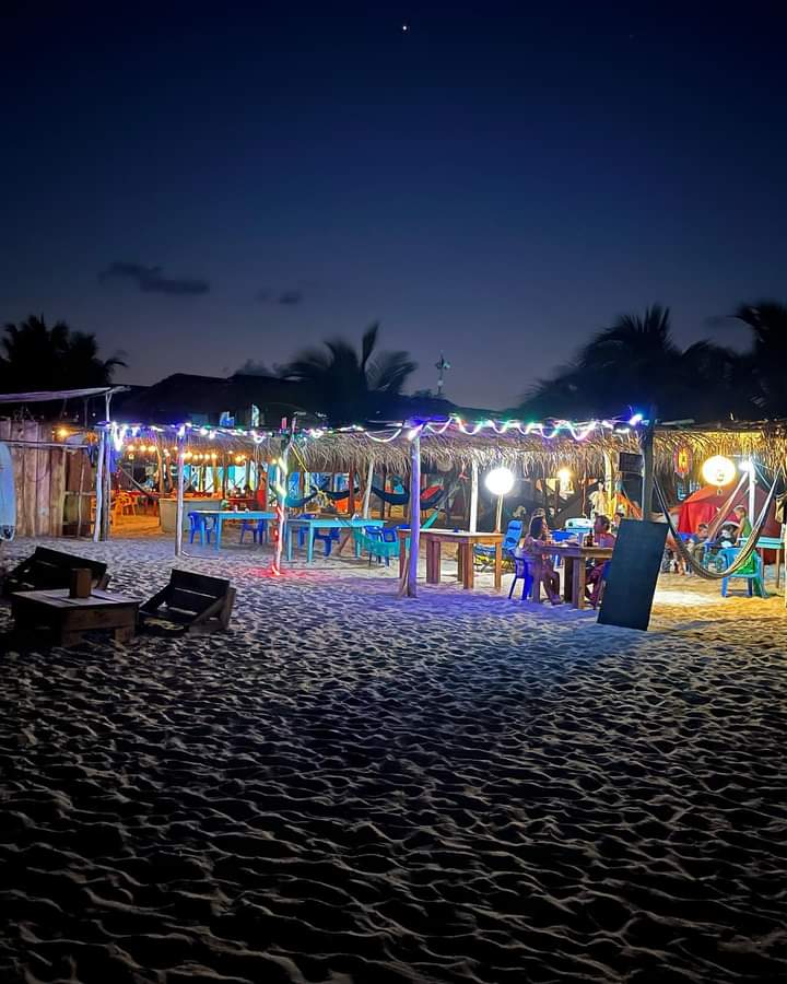 LA TORTUGA FELIZ image 3