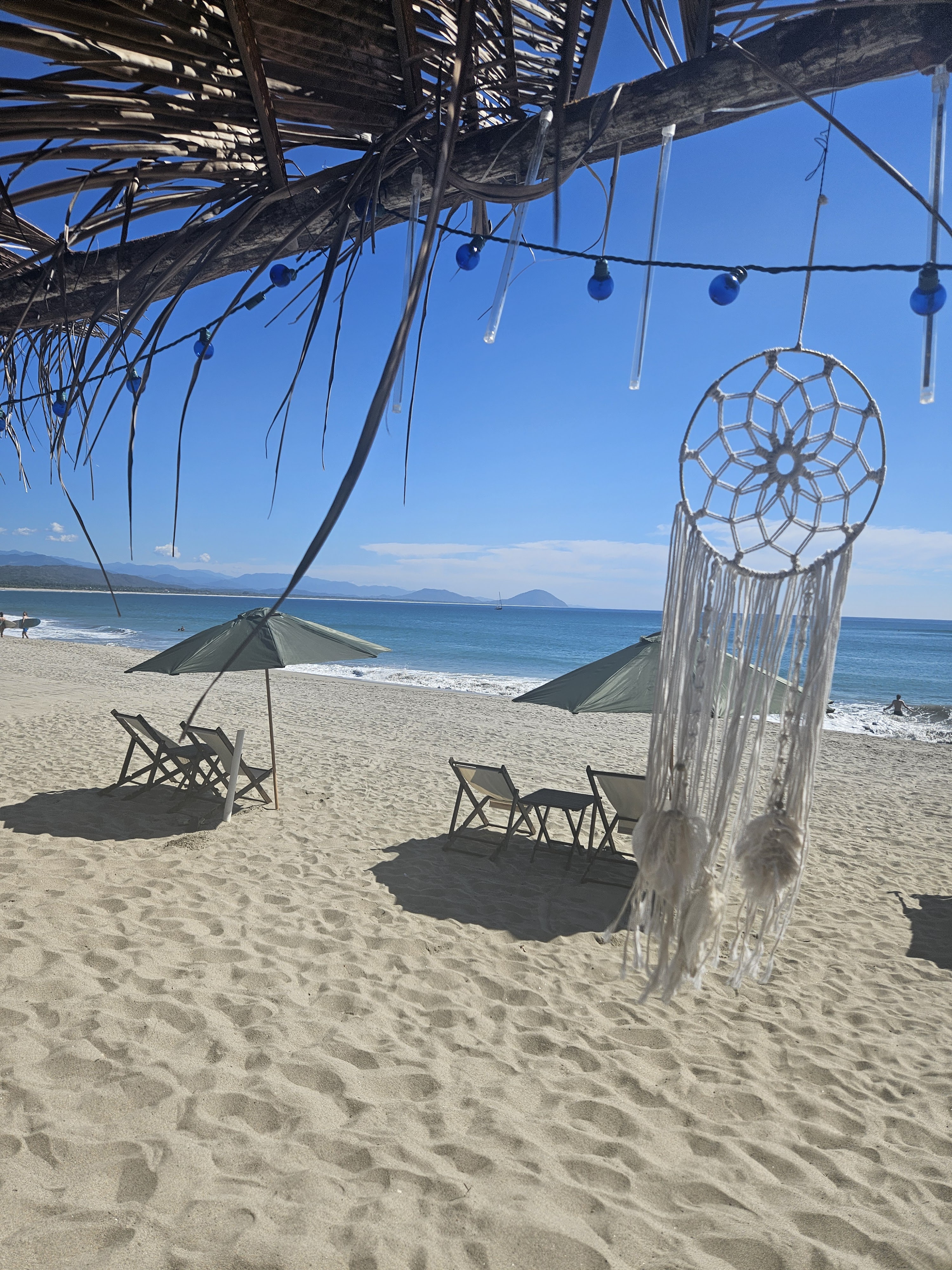 LA TORTUGA FELIZ image 5