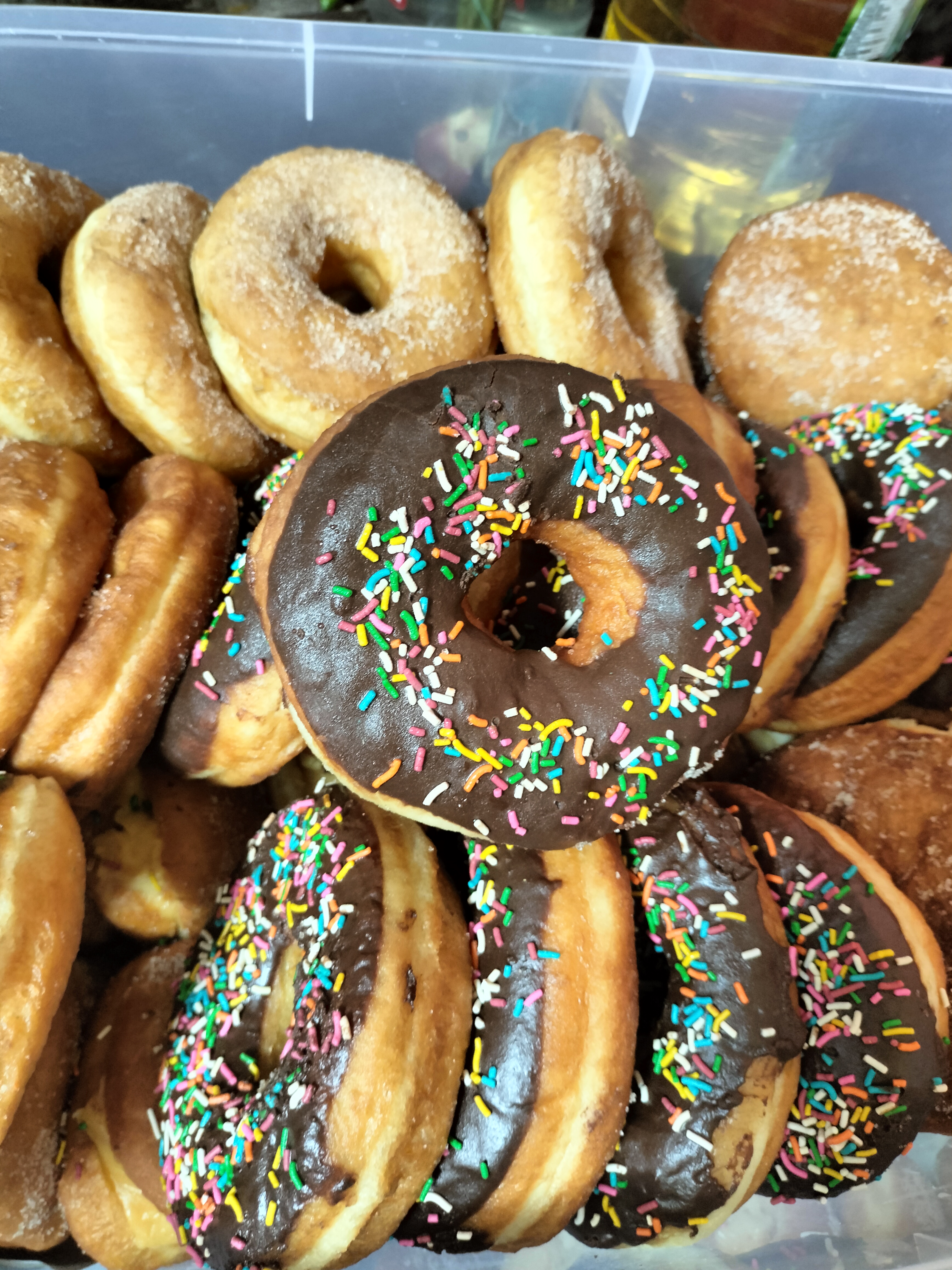 LA TORTUGA FELIZ image 6