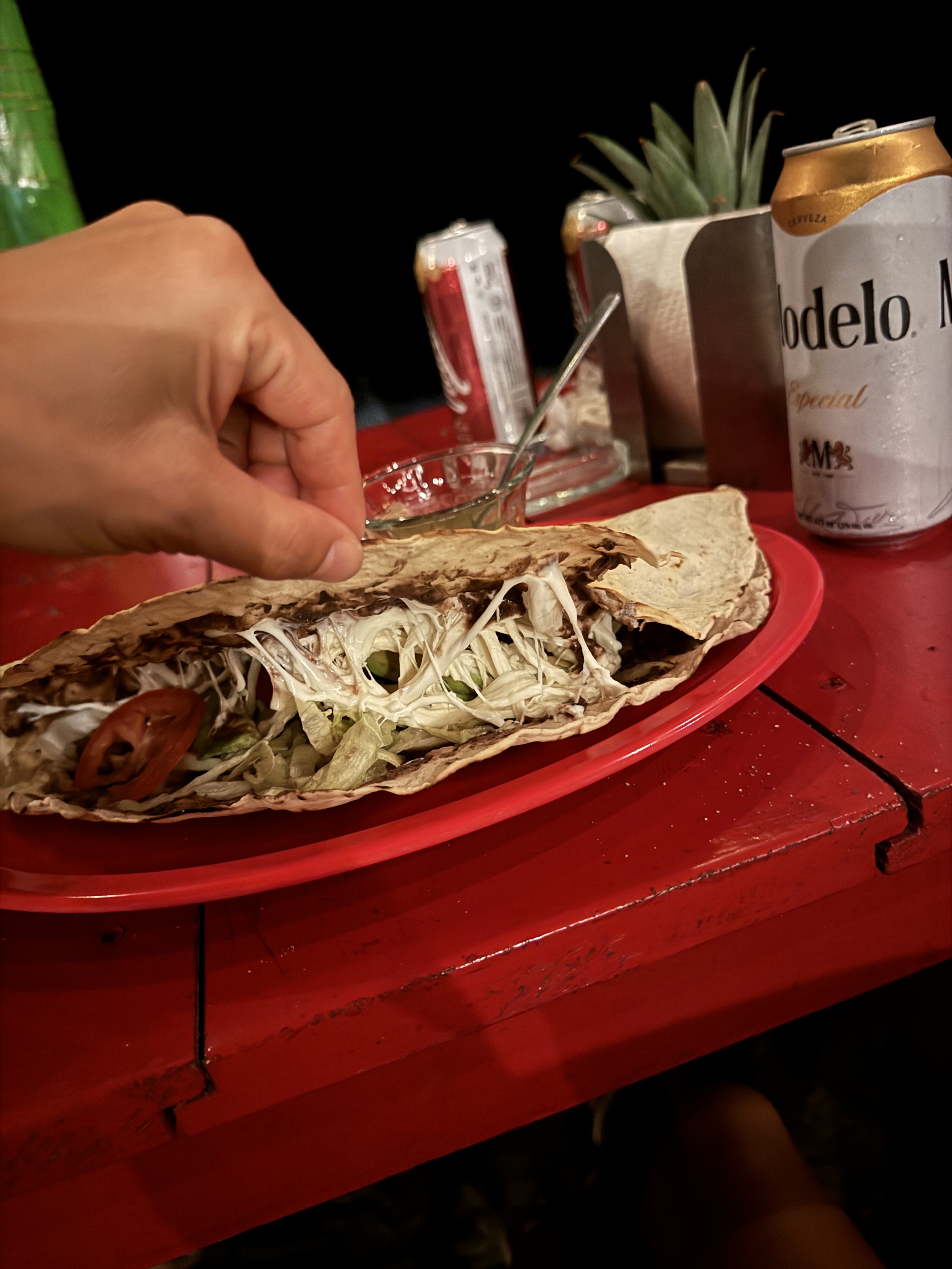 LA TORTUGA FELIZ image 7