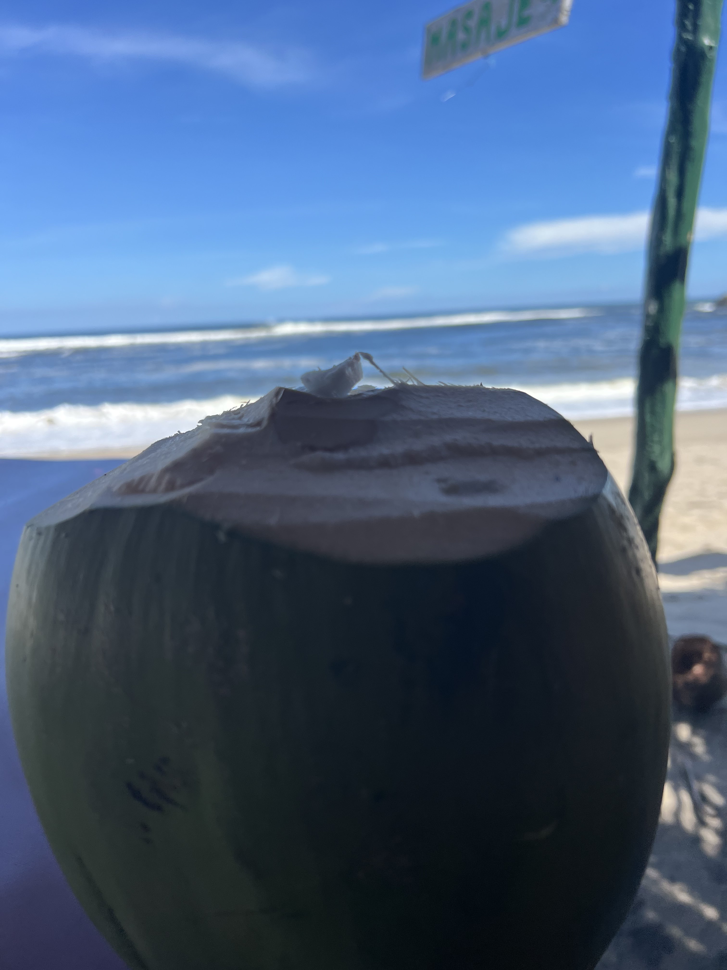 LA TORTUGA FELIZ image 8