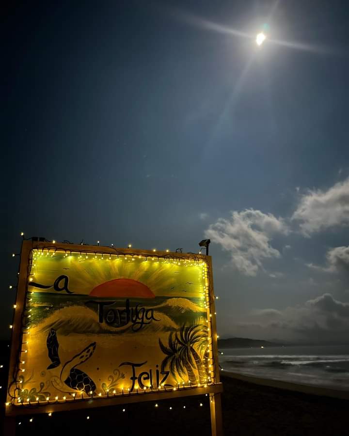 LA TORTUGA FELIZ image 9