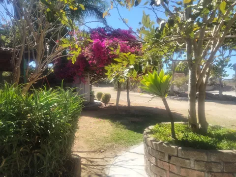 Marisquería Las Bugambilias image 4
