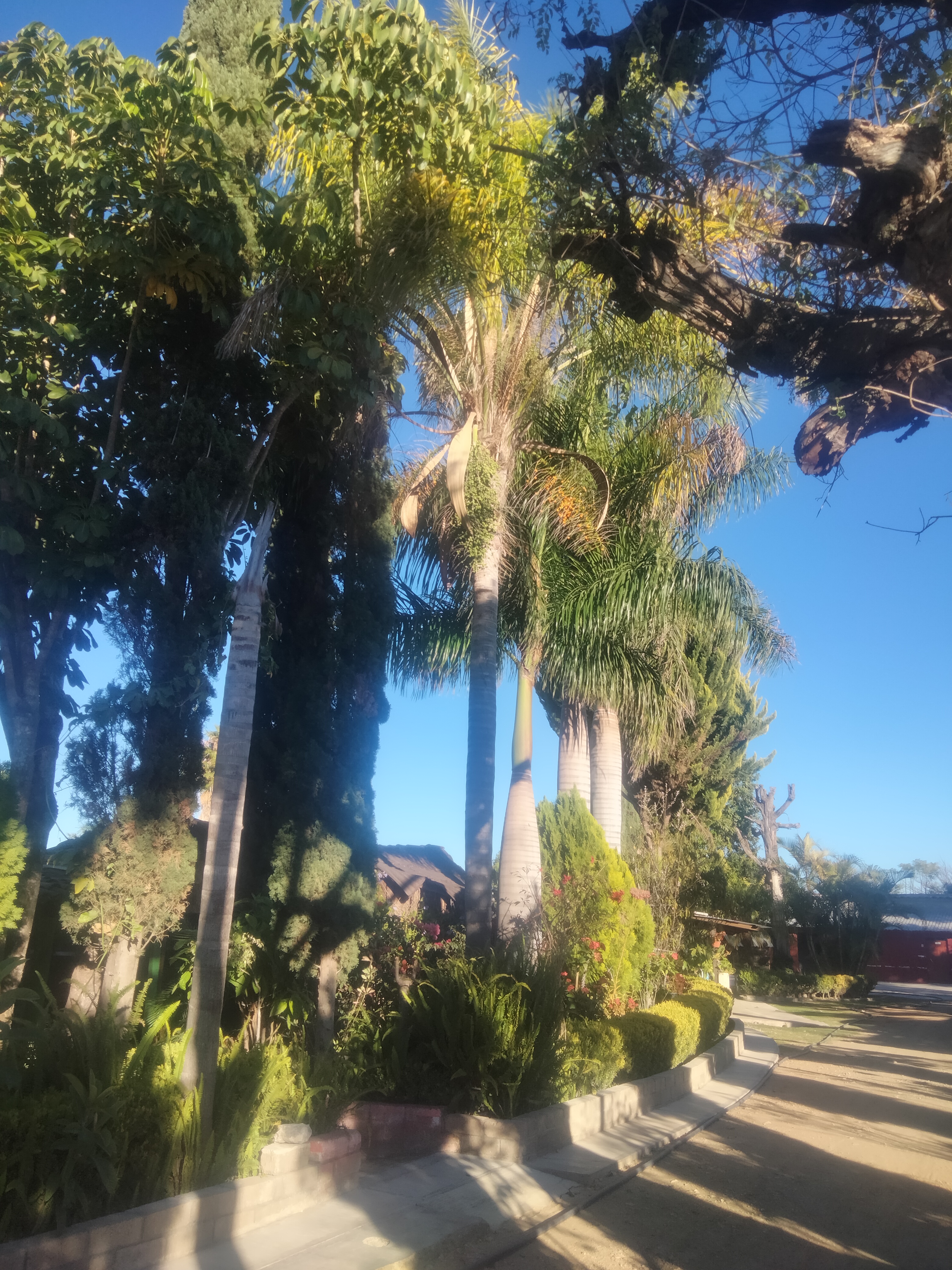 Marisquería Las Bugambilias image 5