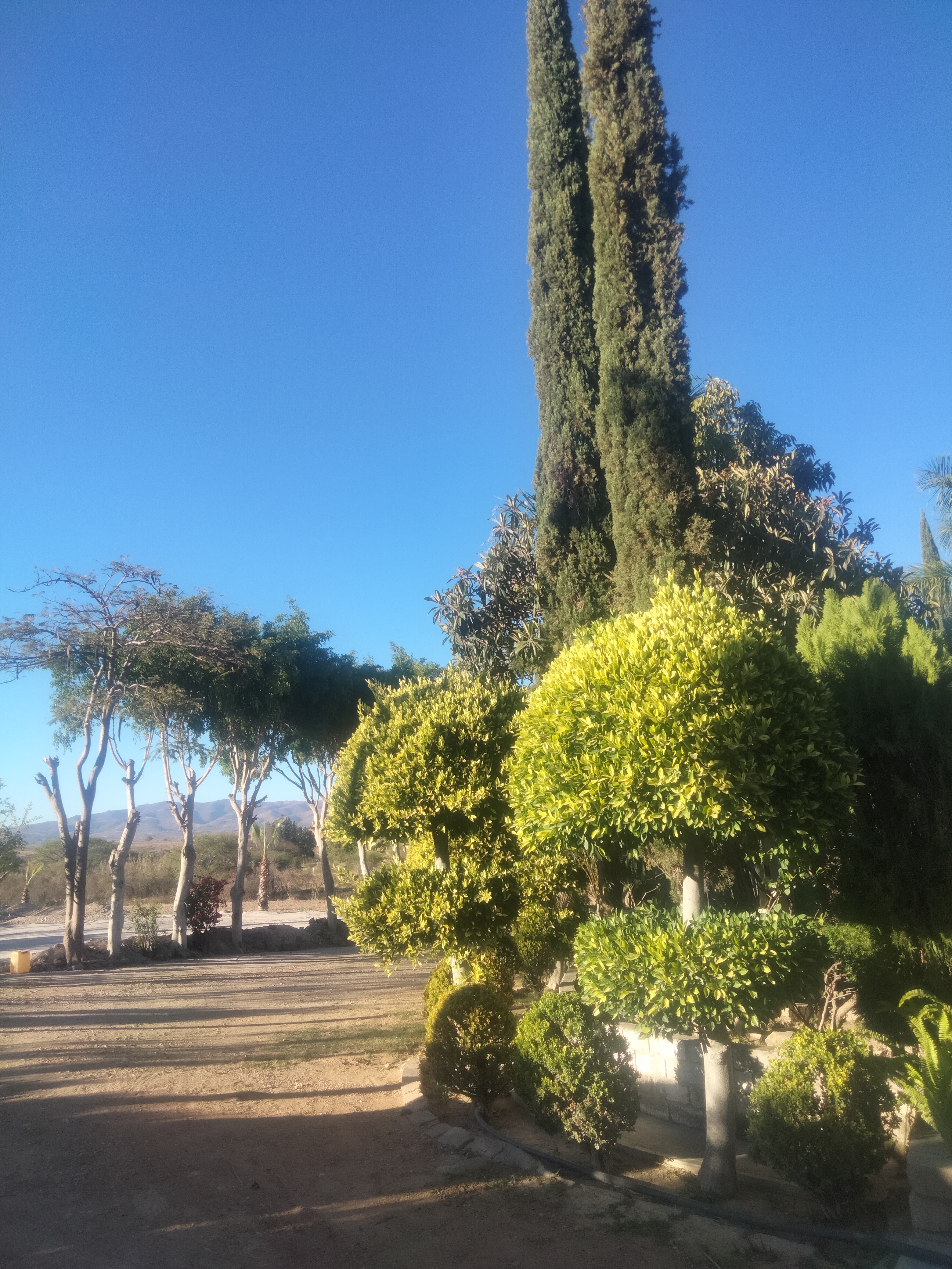 Marisquería Las Bugambilias image 8