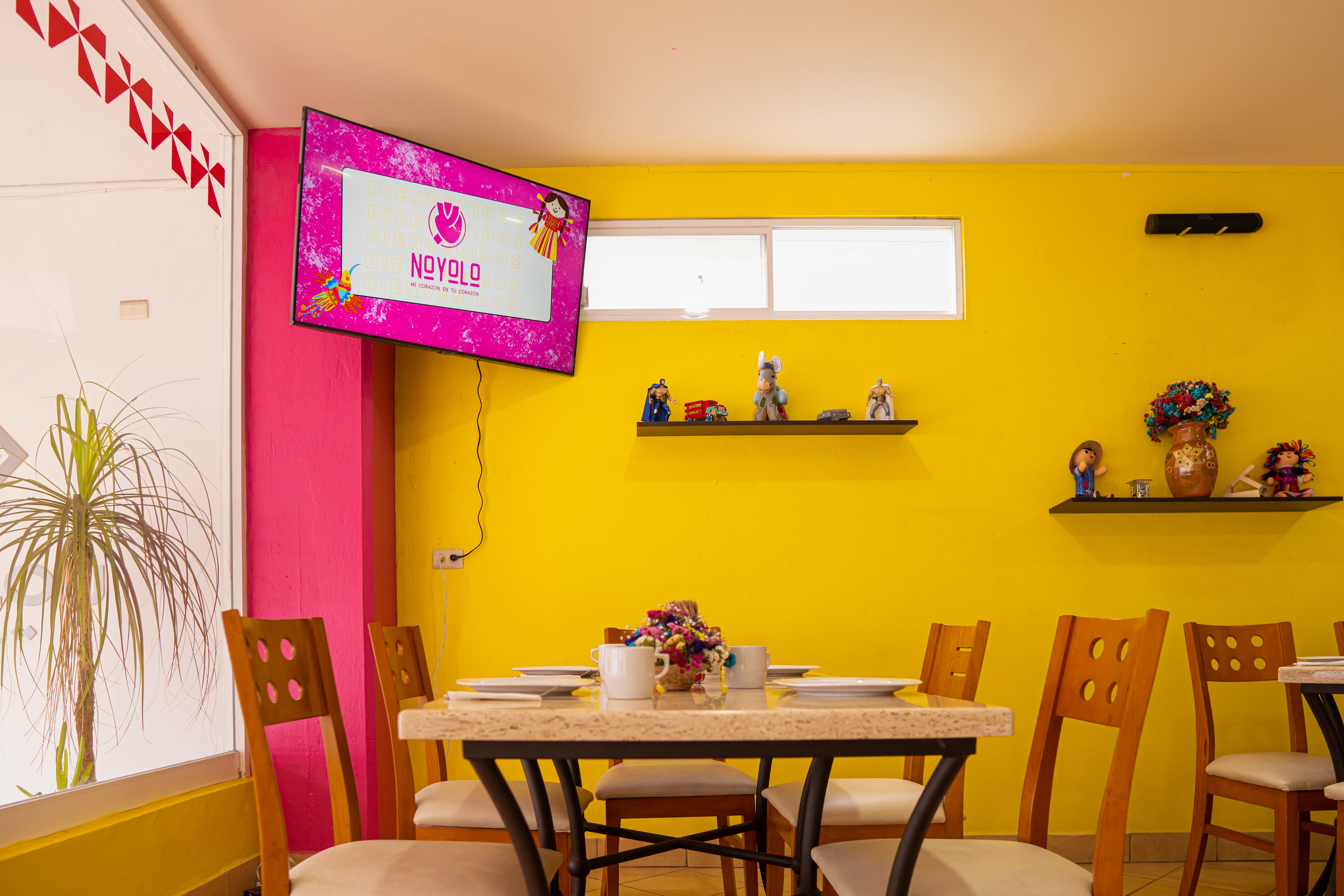 Noyolo Restaurante image 1