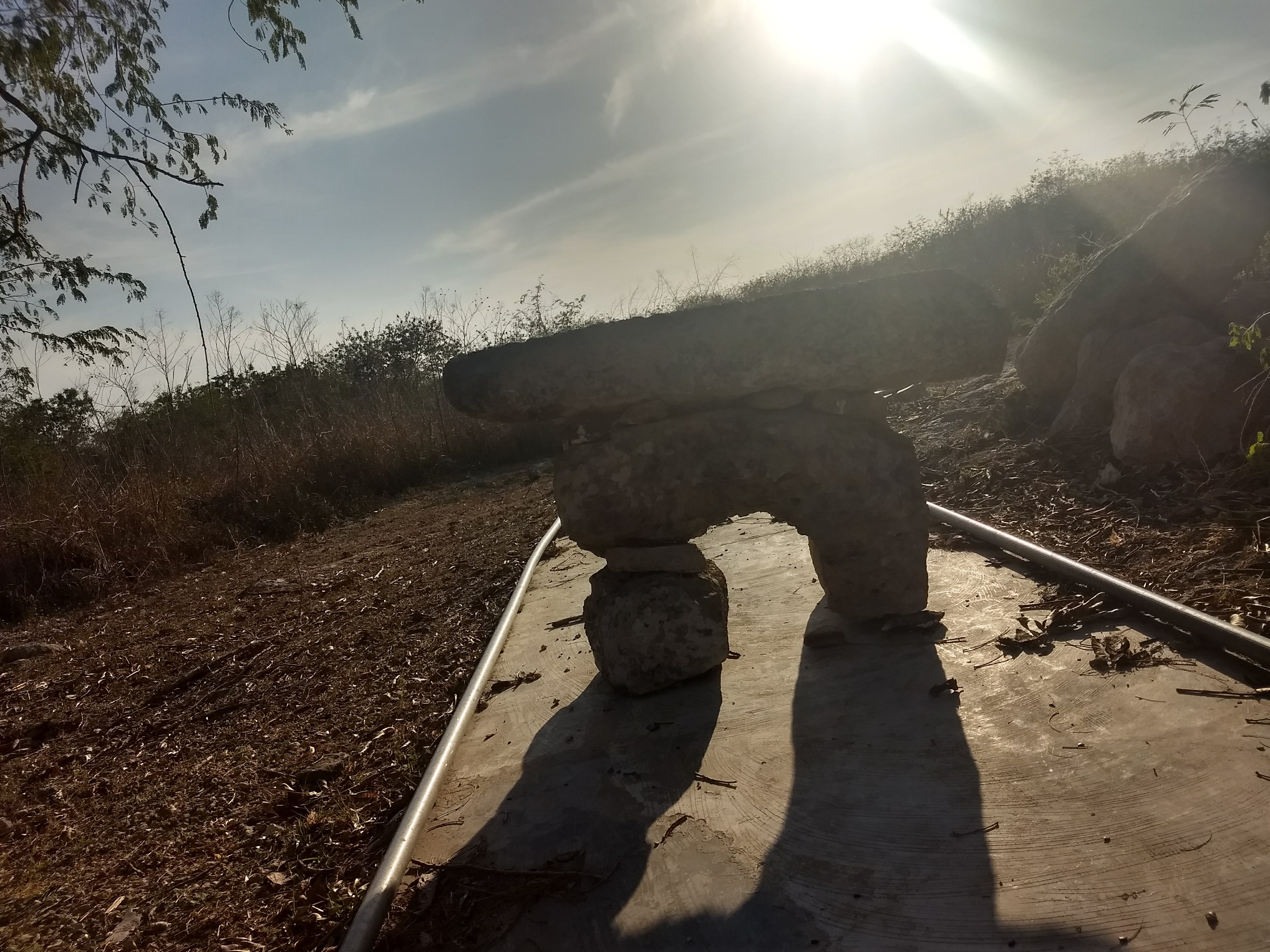 Restaurante 1900 image 6