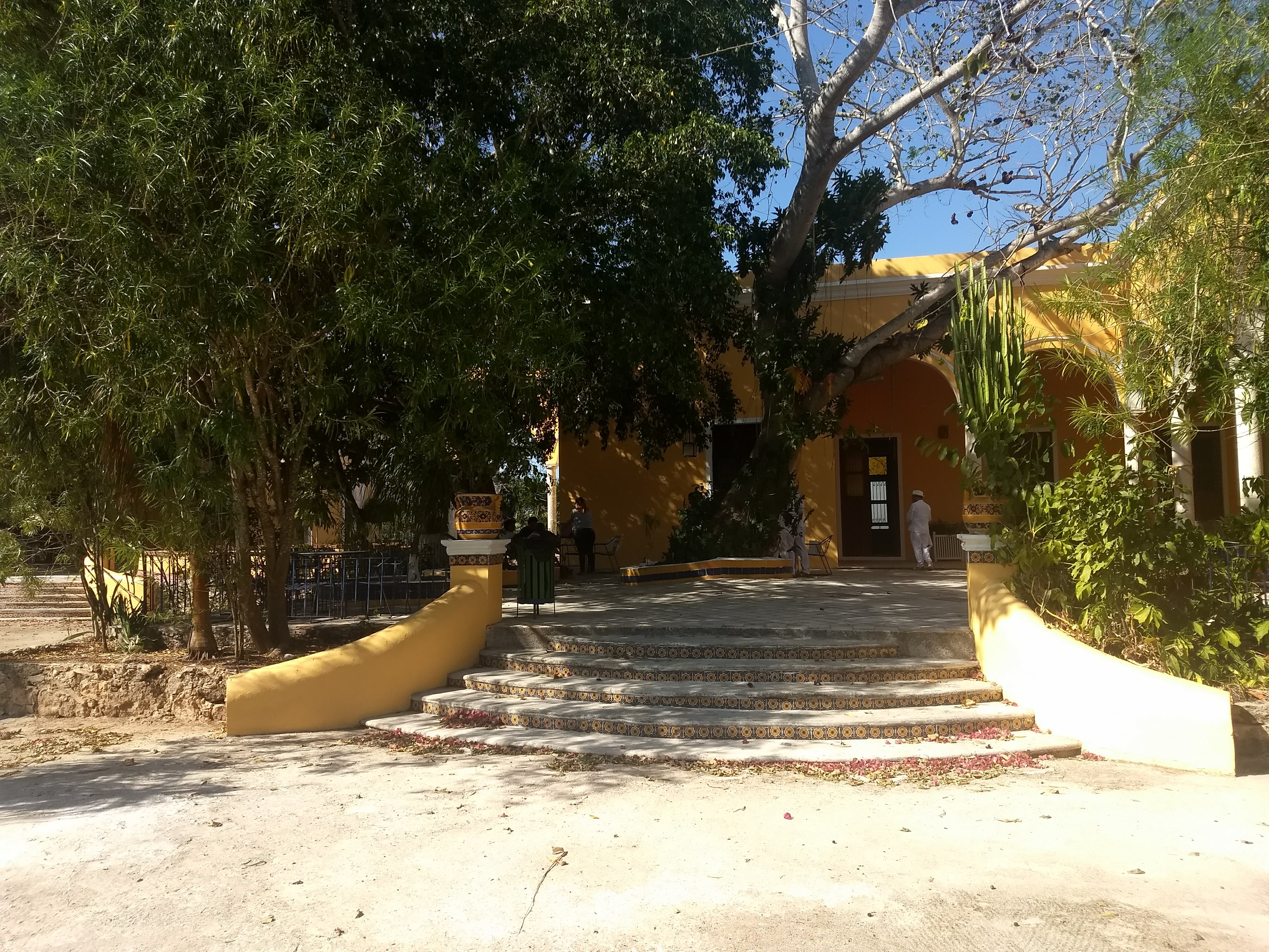 Restaurante 1900 image 9