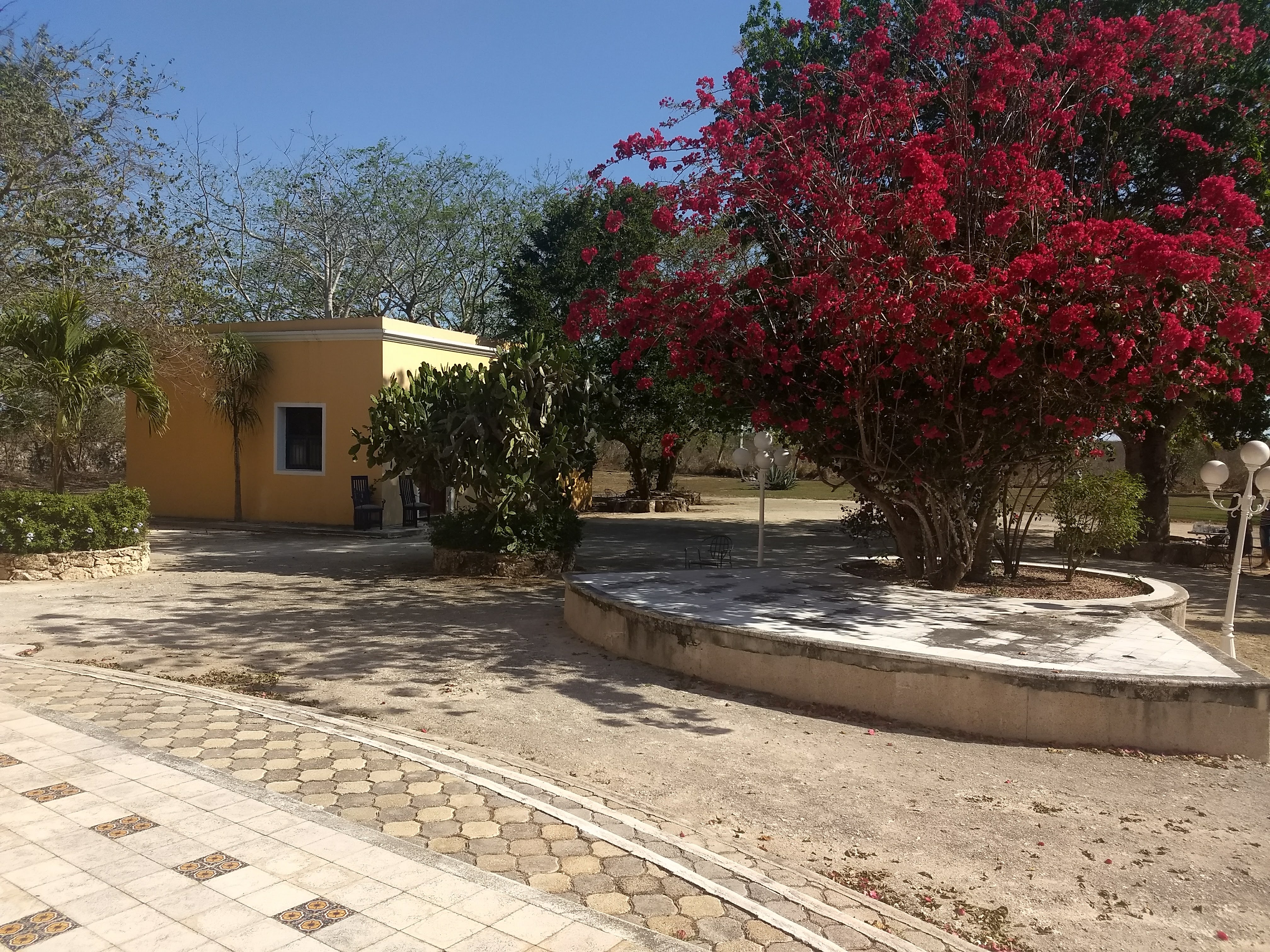 Restaurante 1900 image 10