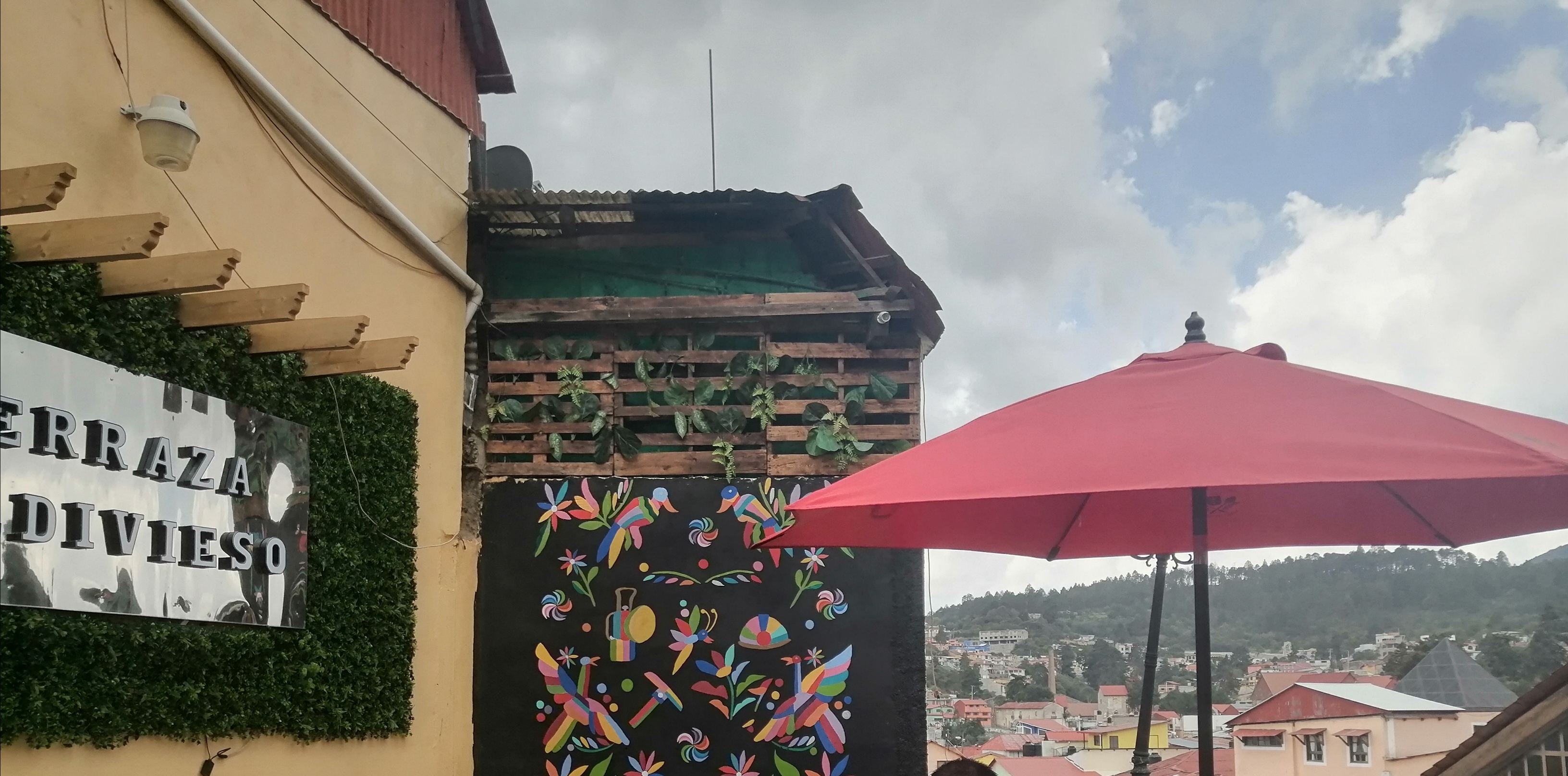 Restaurante Terraza Valdivieso image 6