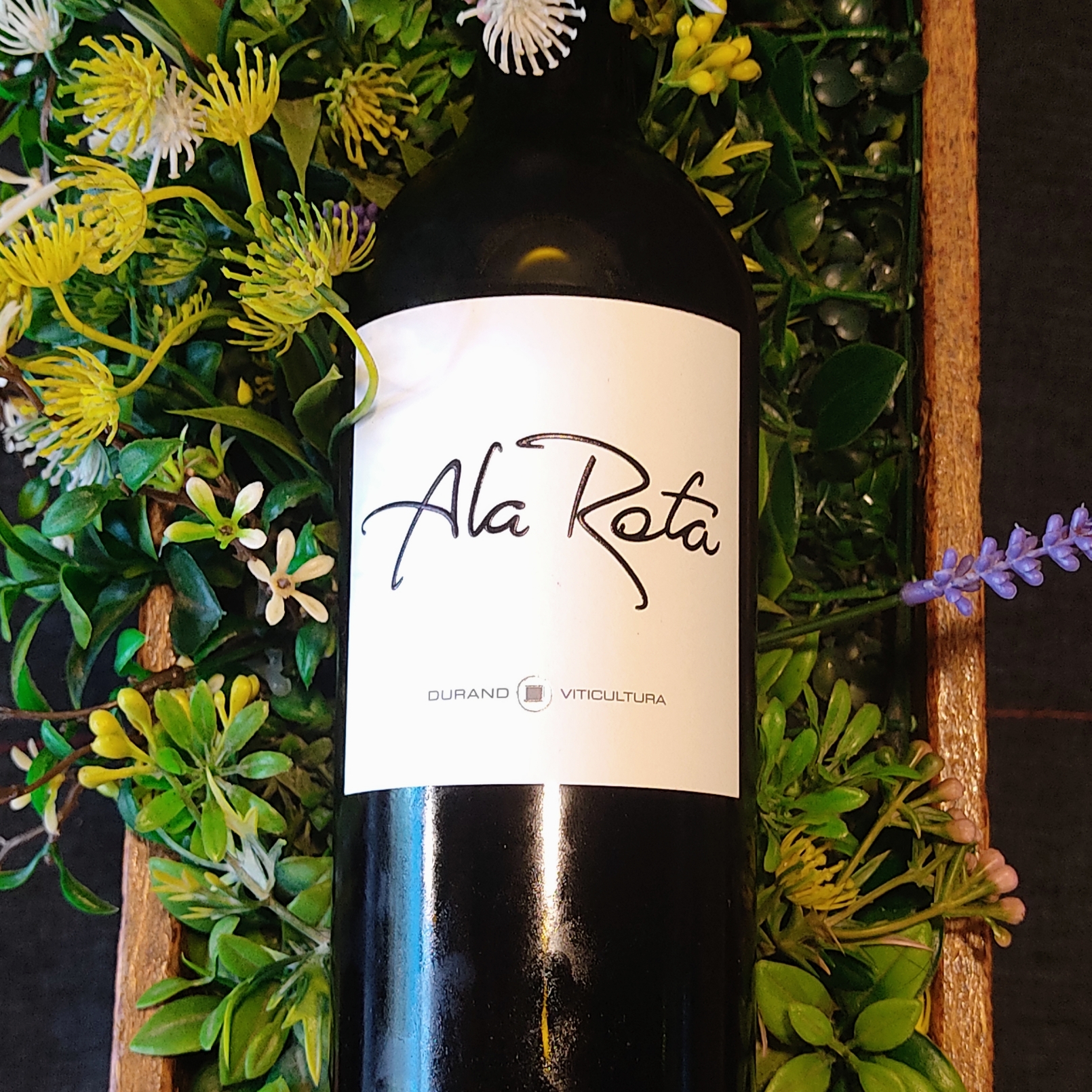 Livorno Bistro image 9