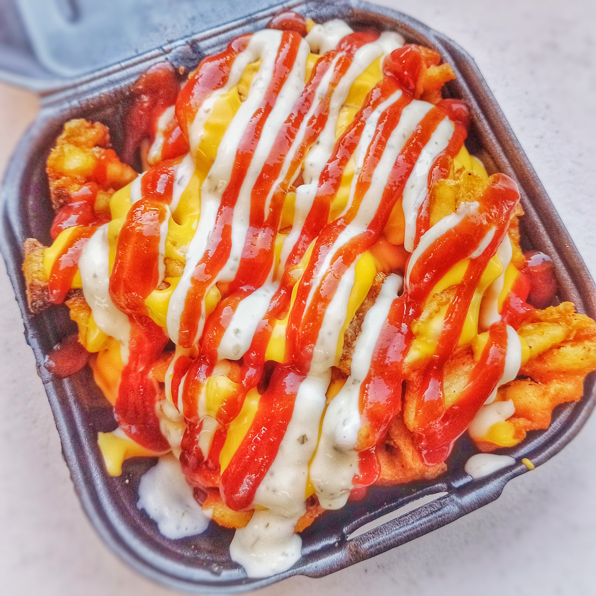 El Gastro Gourmet image 9