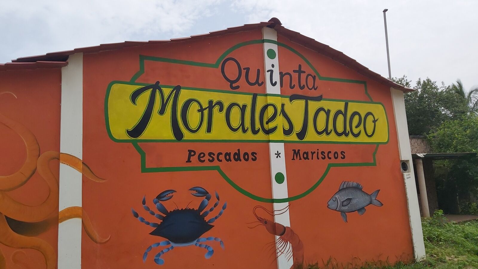 Quinta Morales Tadeo image 5