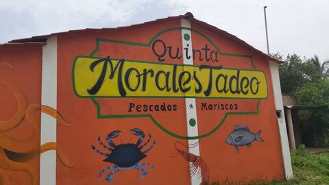 Quinta Morales Tadeo image 5