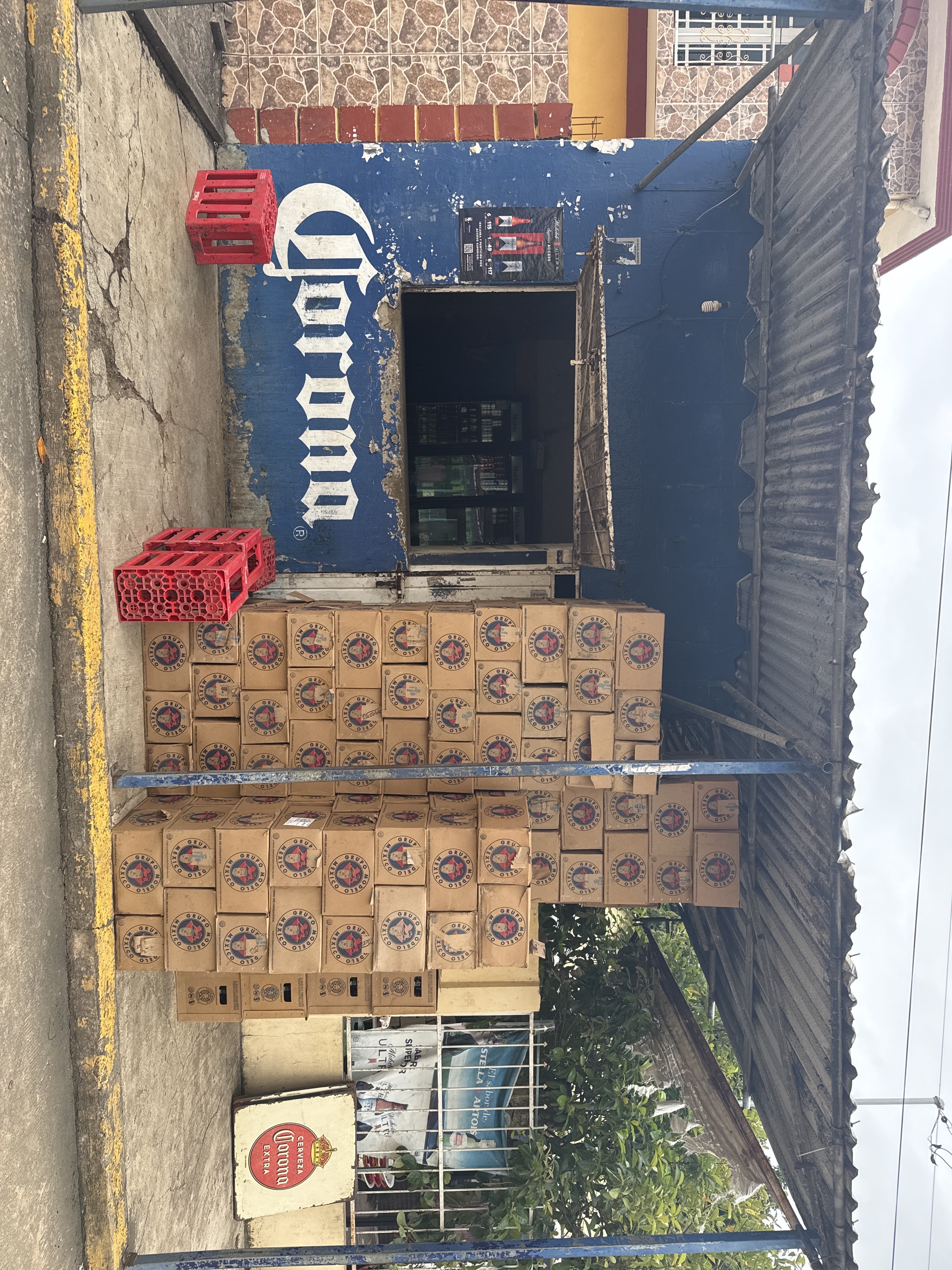 Modelorama El Jarro image 2