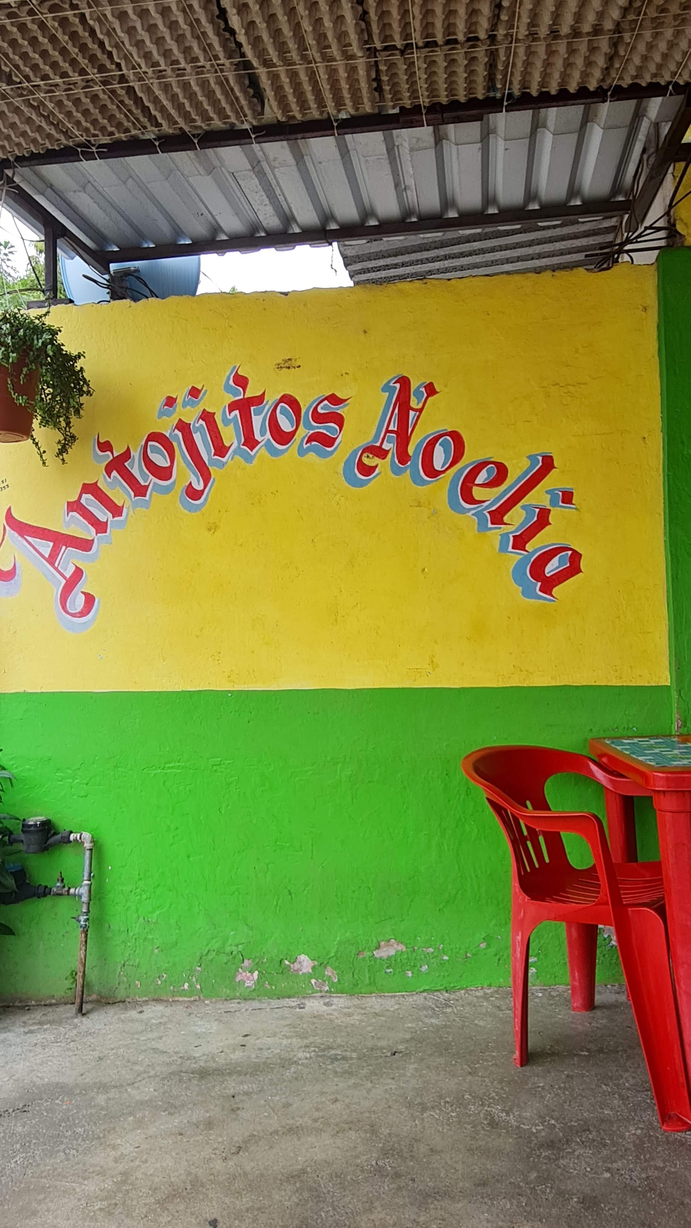 Antojitos Noelia image 4