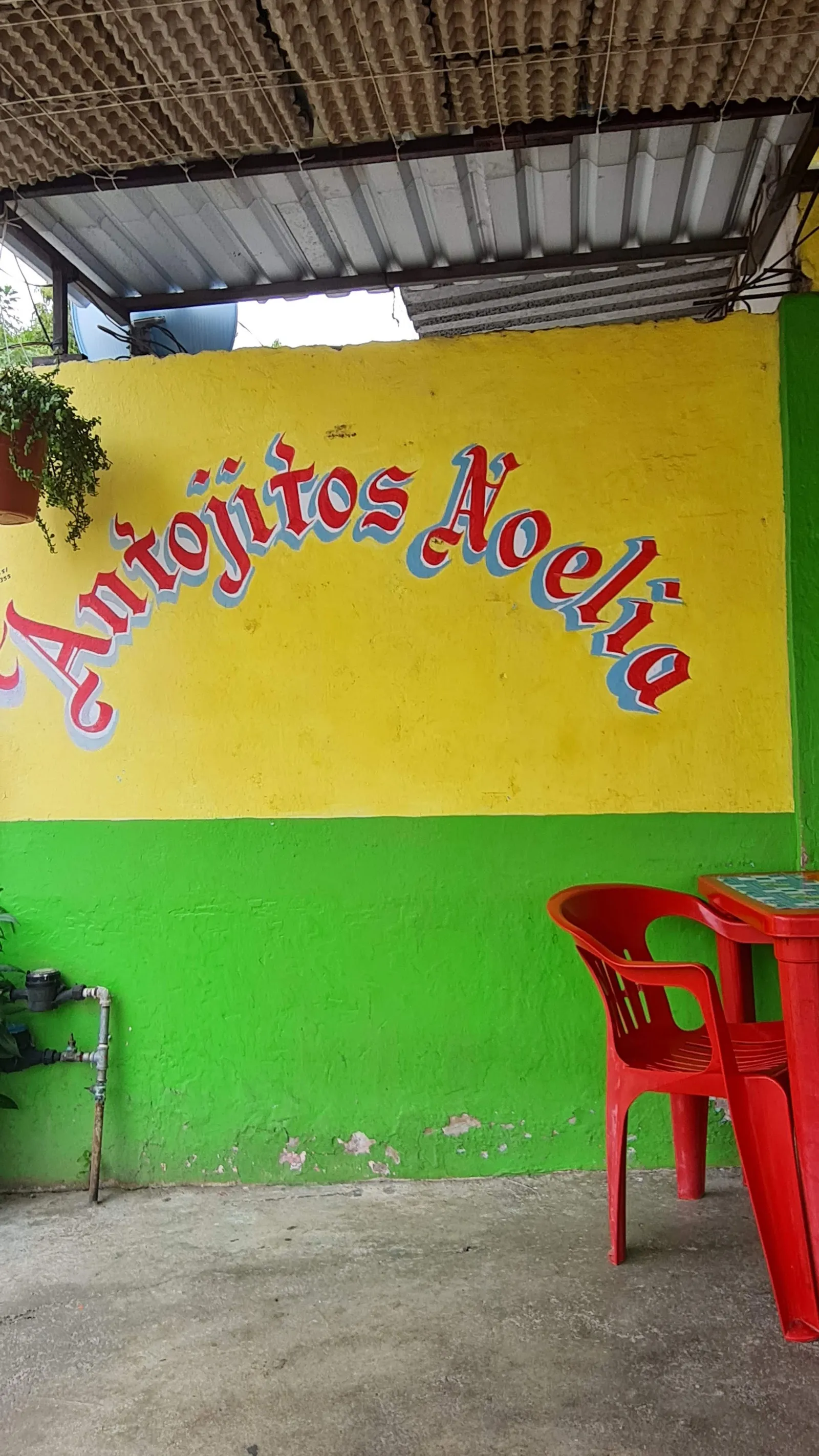 Antojitos Noelia image 4
