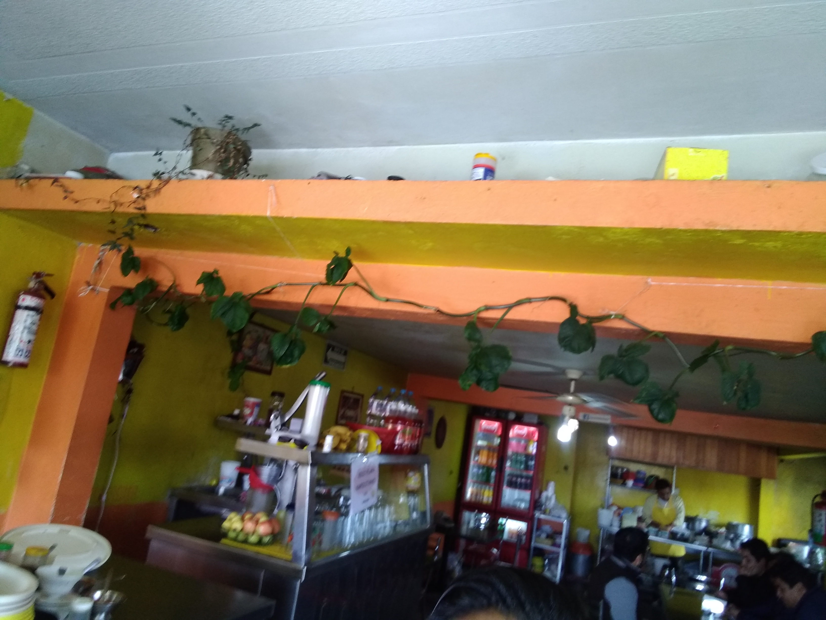 Quesadillas La Reyna image 8