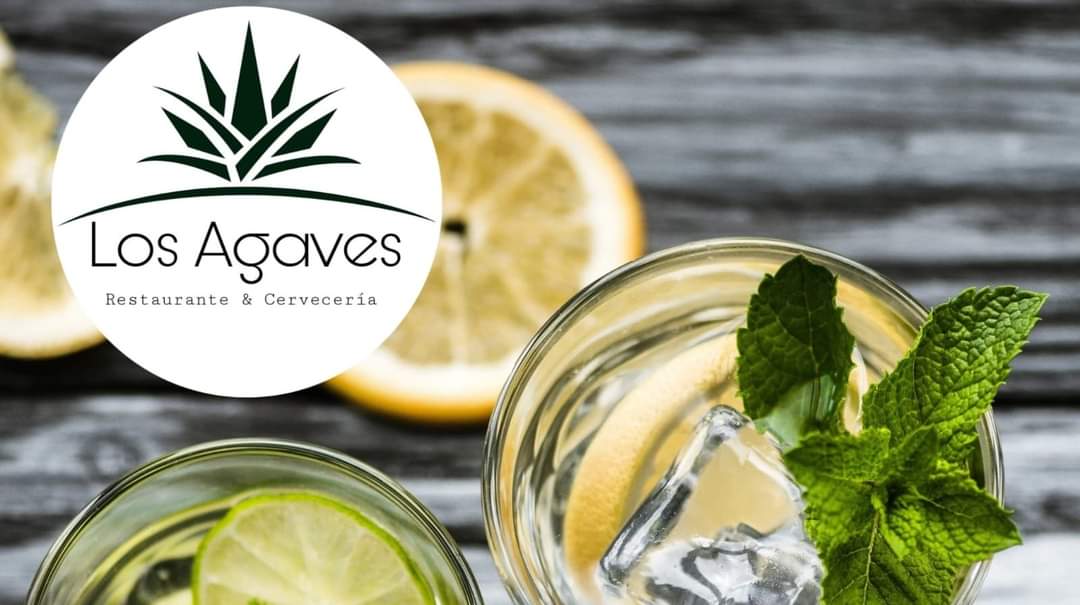 Los Agaves image 3