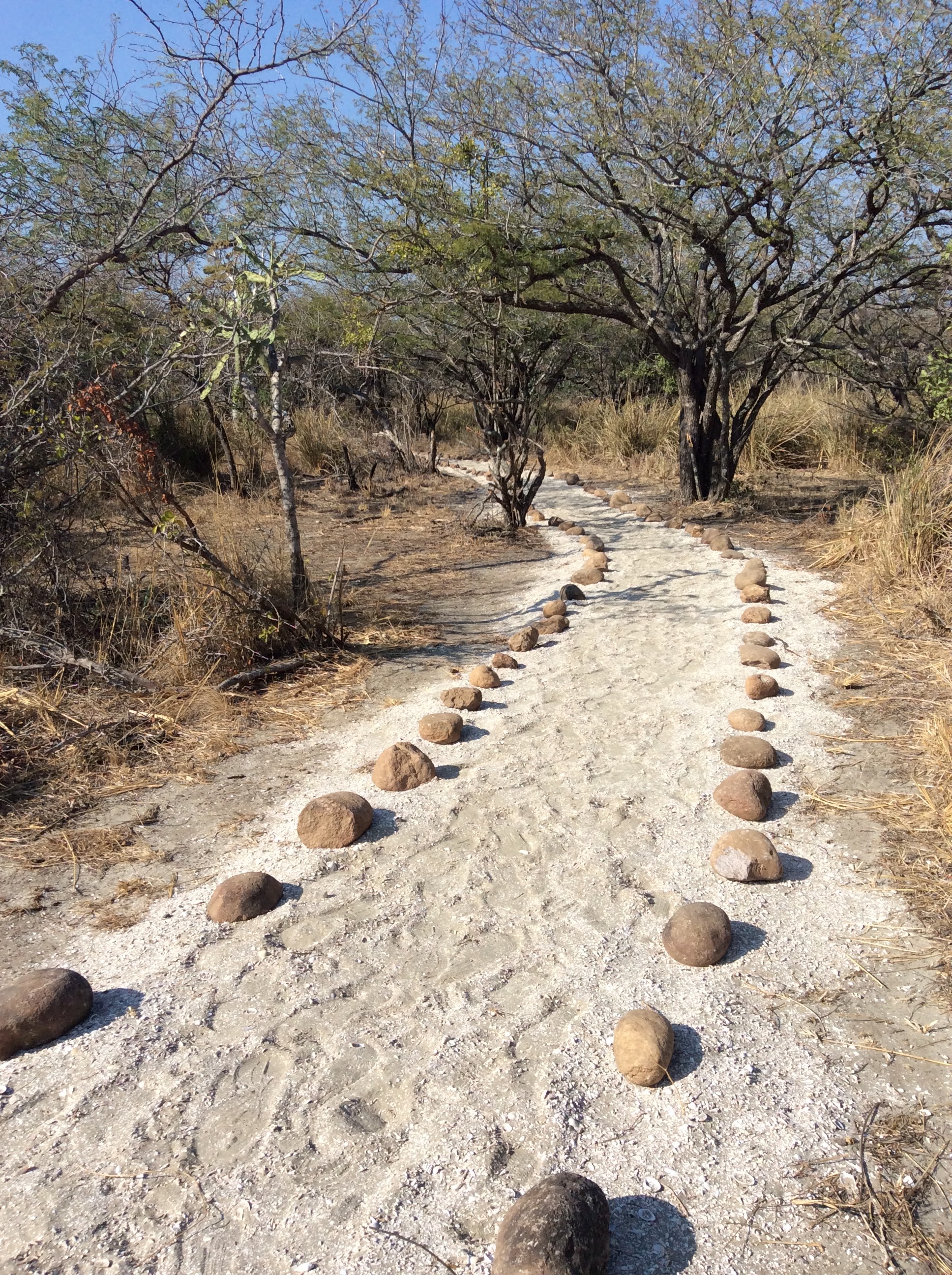 Centro Ecoturístico El Morro image 5