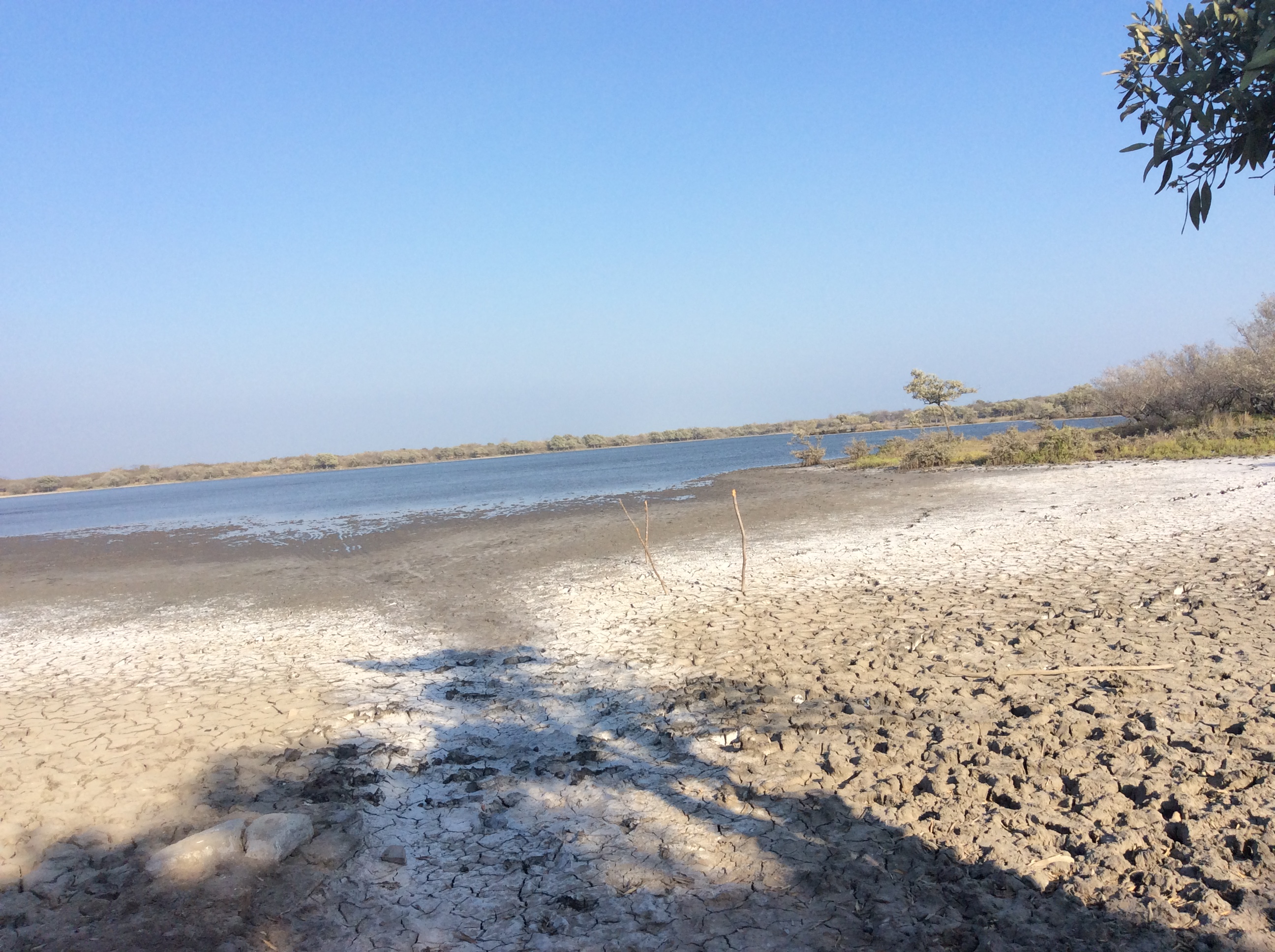 Centro Ecoturístico El Morro image 6