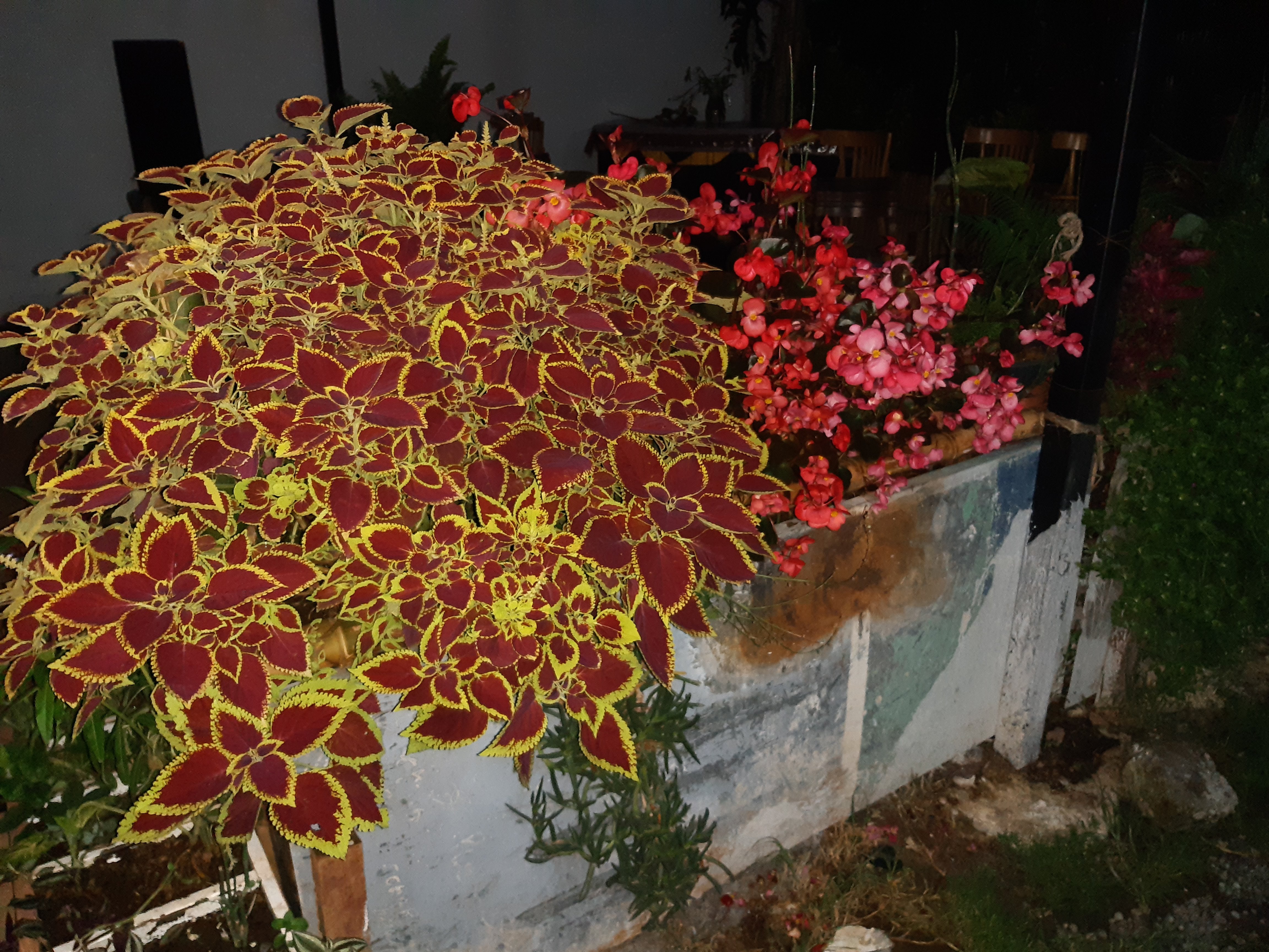 COCINA ARTES image 7