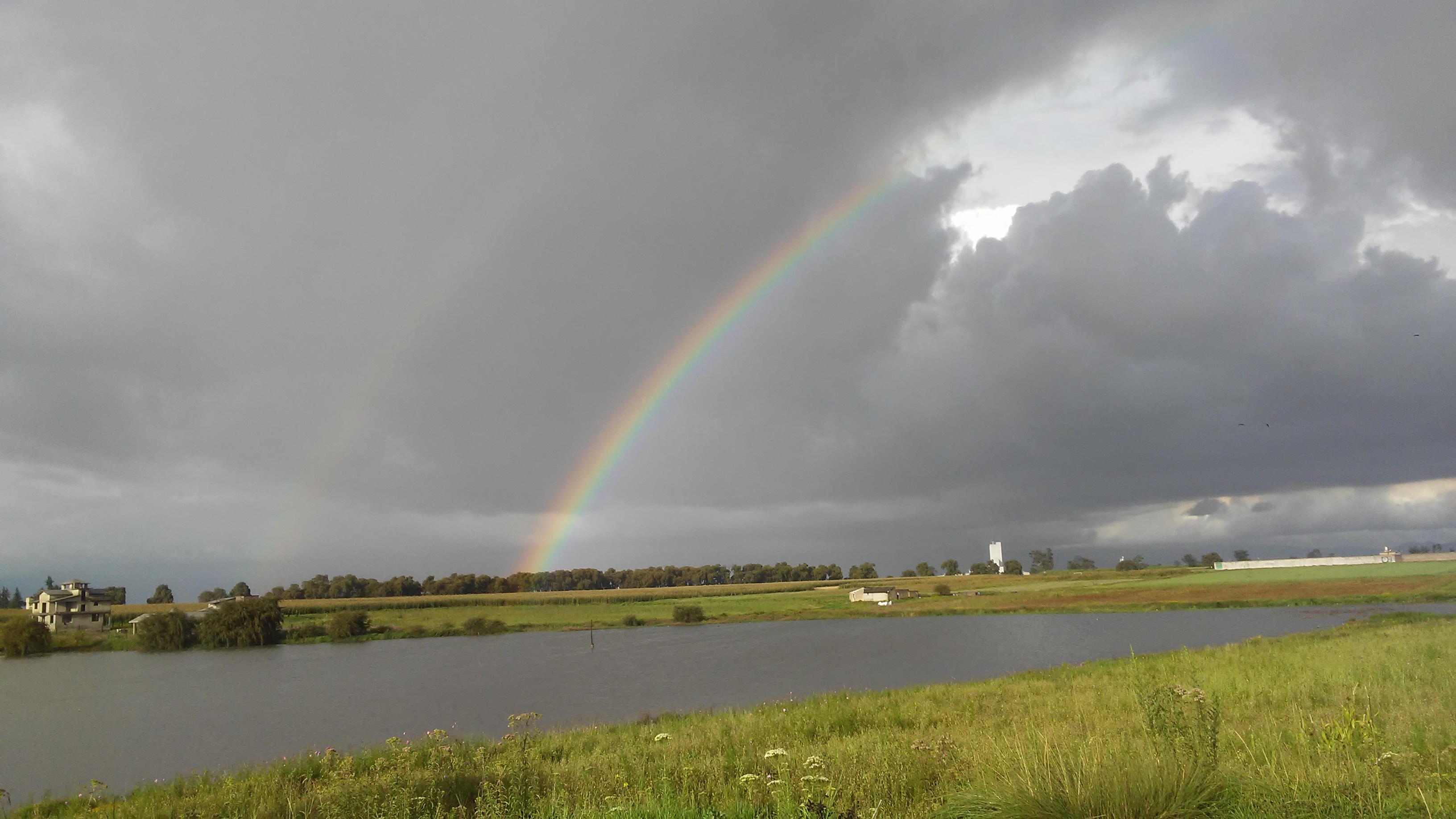 EXQUISITA BARBACOA DE HORNO ARTESANAL EMMANUEL. """"""""""'"'FACTURAS""""""""""" image 4